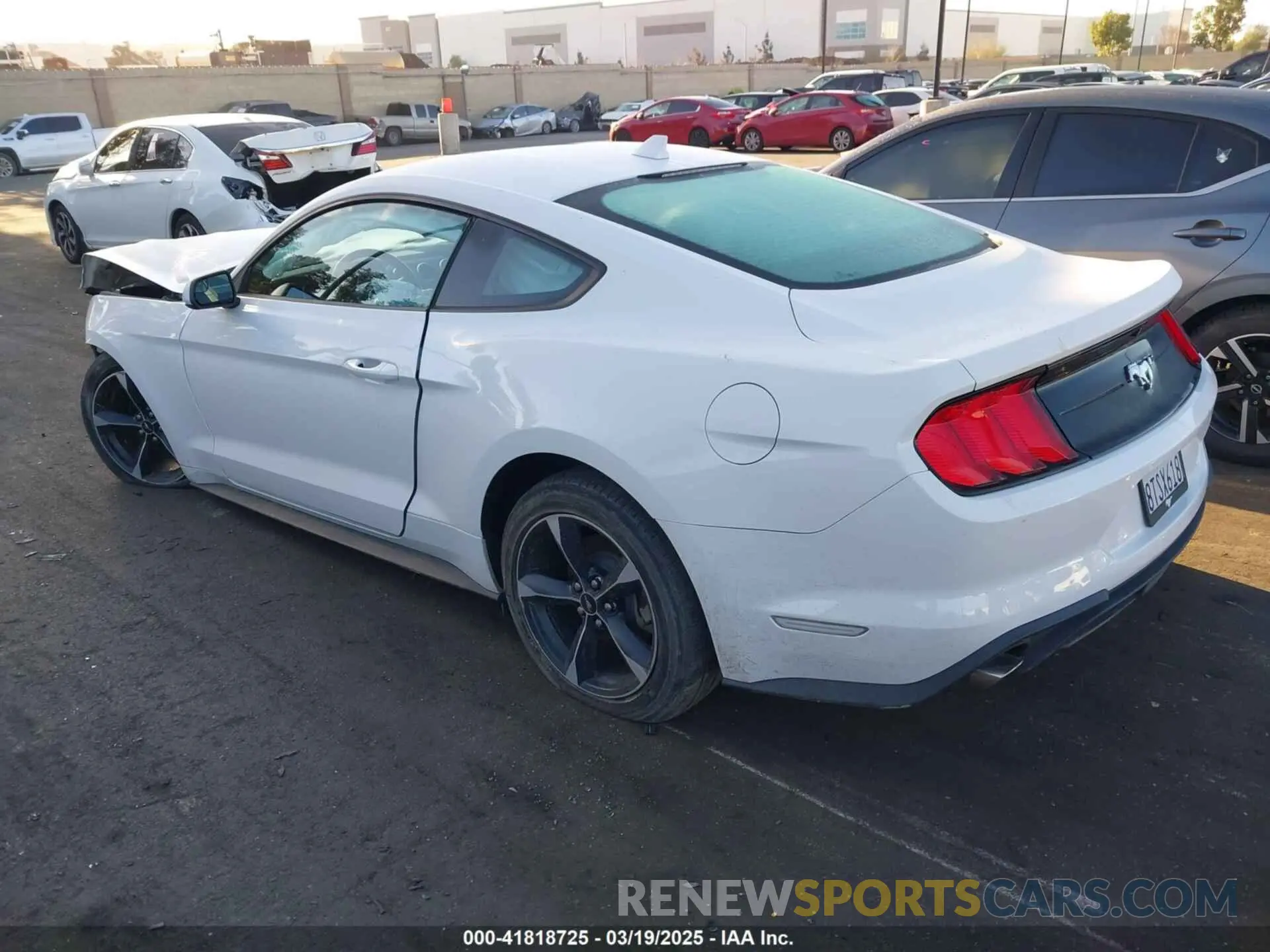 3 Photograph of a damaged car 1FA6P8TH3L5176737 FORD MUSTANG 2020