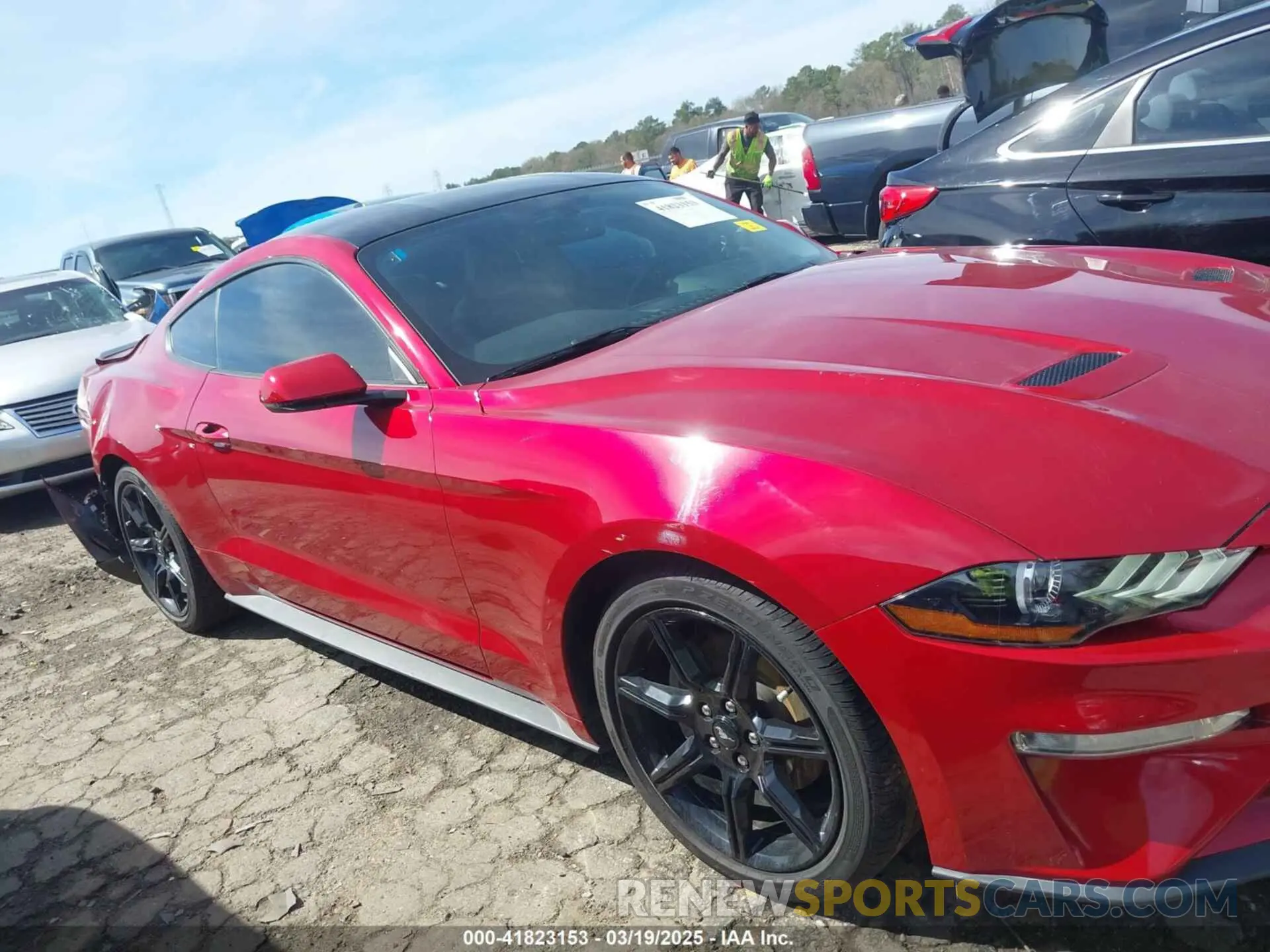 14 Photograph of a damaged car 1FA6P8TH4L5157565 FORD MUSTANG 2020