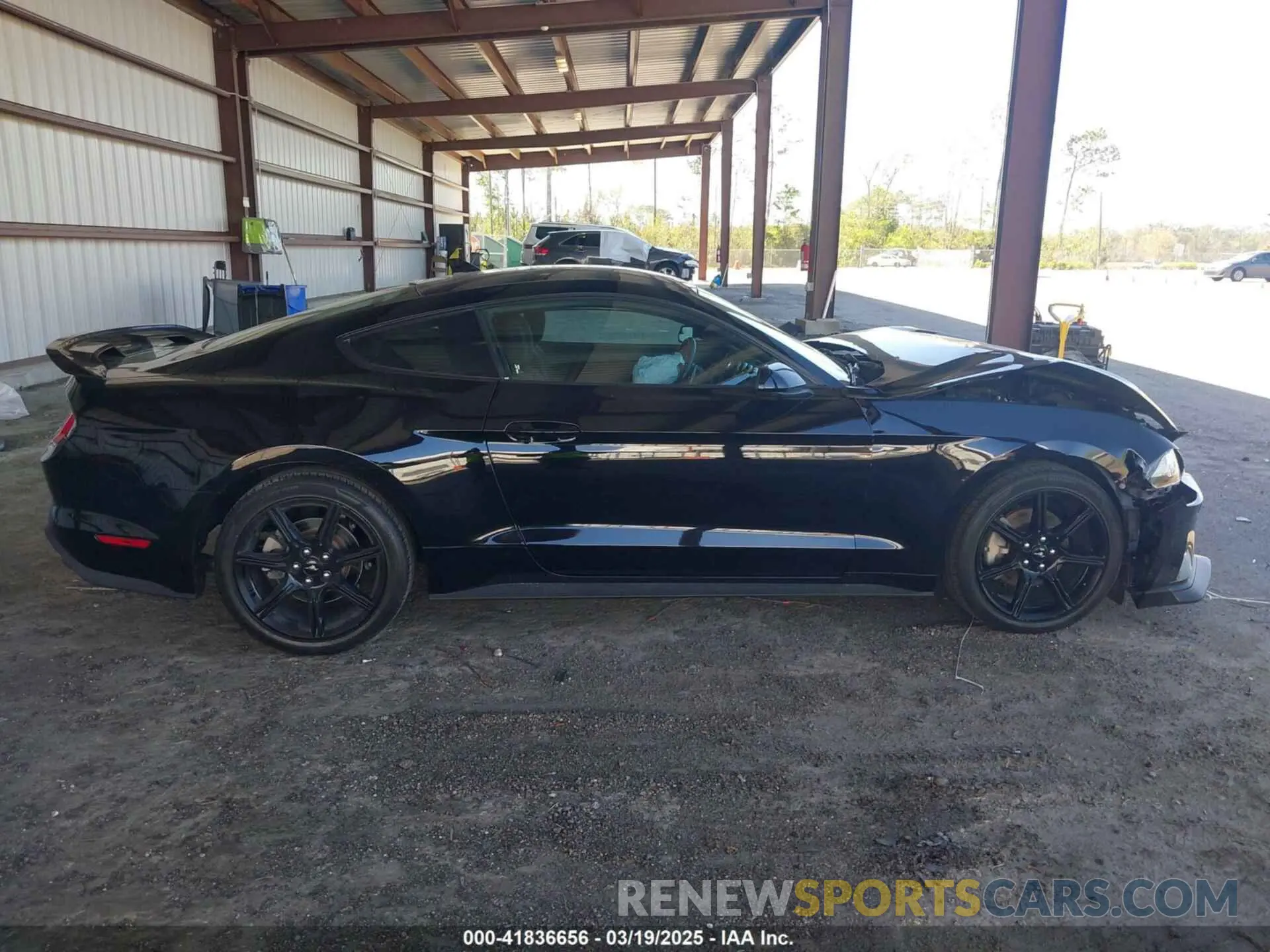 13 Photograph of a damaged car 1FA6P8TH4L5157985 FORD MUSTANG 2020