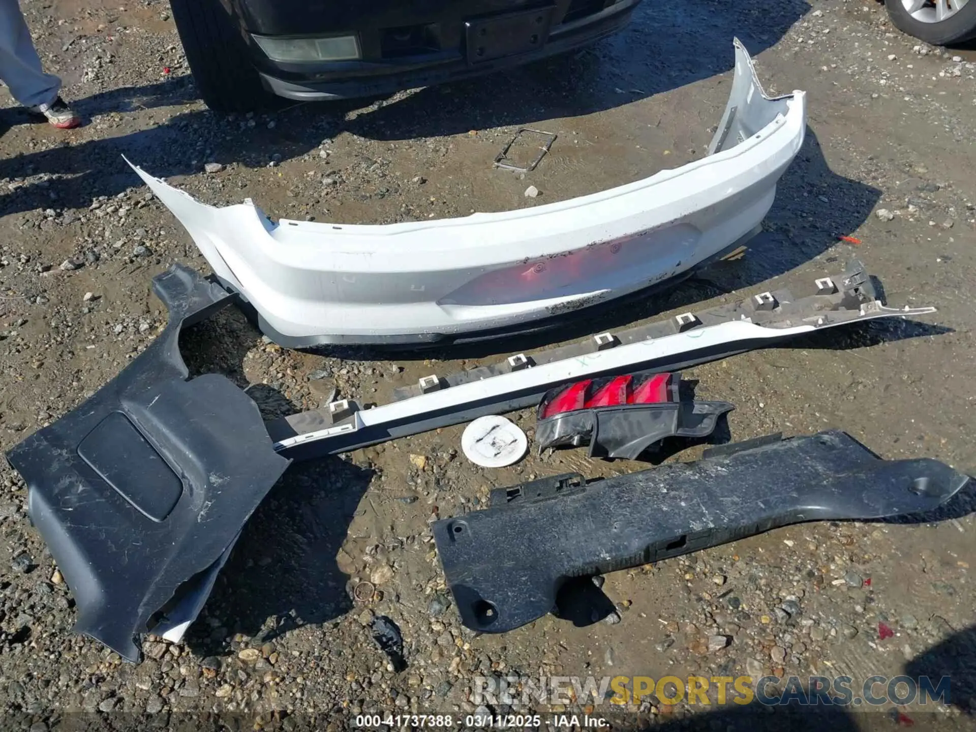 12 Photograph of a damaged car 1FA6P8TH5L5186735 FORD MUSTANG 2020