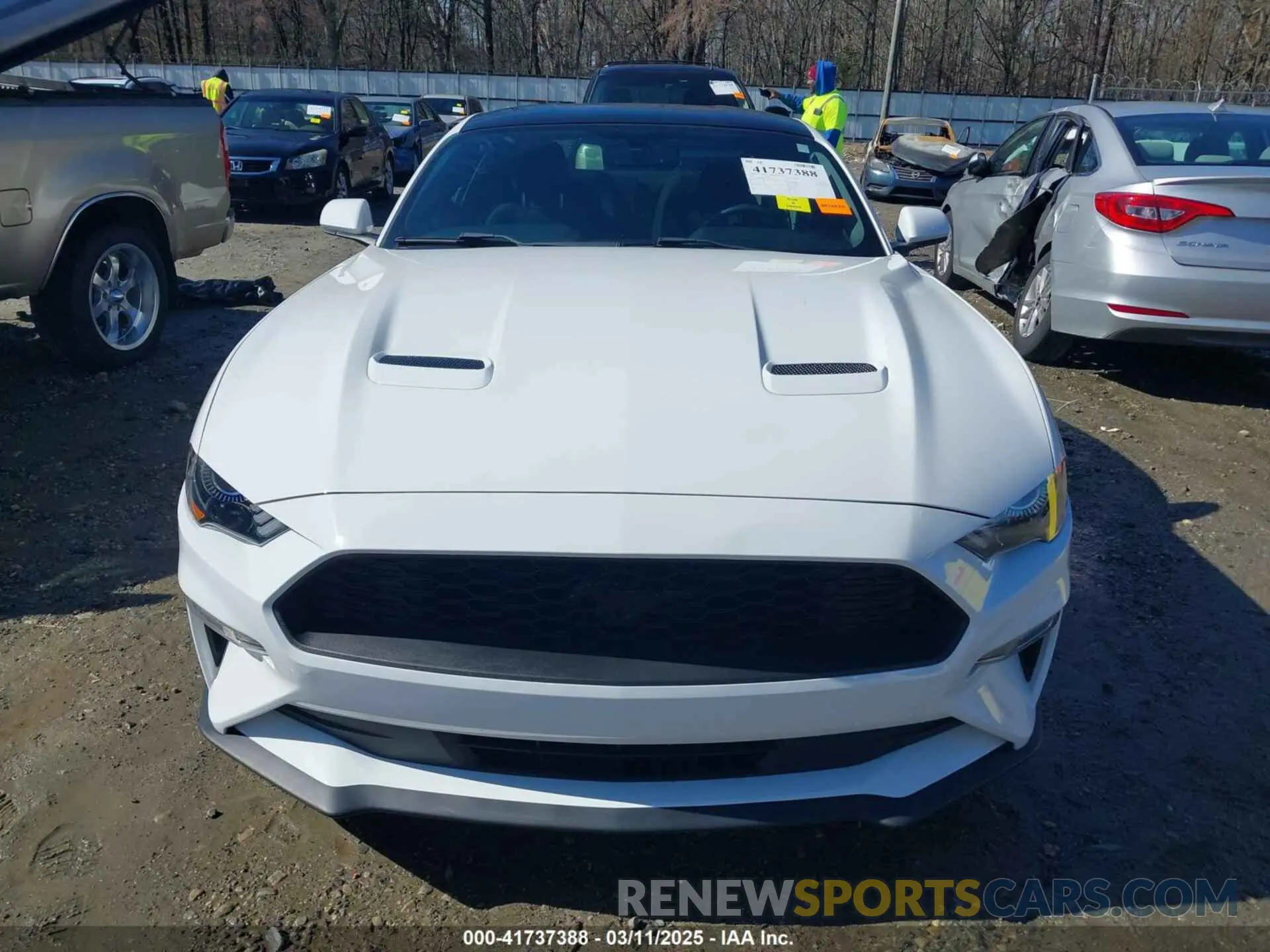13 Photograph of a damaged car 1FA6P8TH5L5186735 FORD MUSTANG 2020