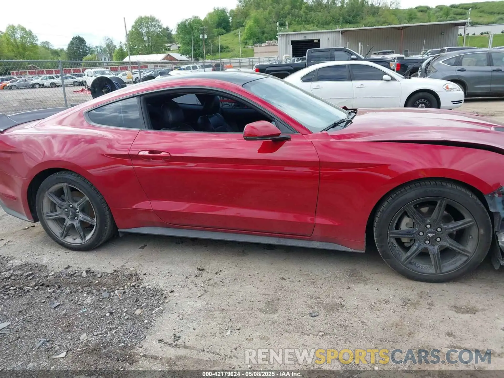 13 Photograph of a damaged car 1FA6P8TH6L5149788 FORD MUSTANG 2020