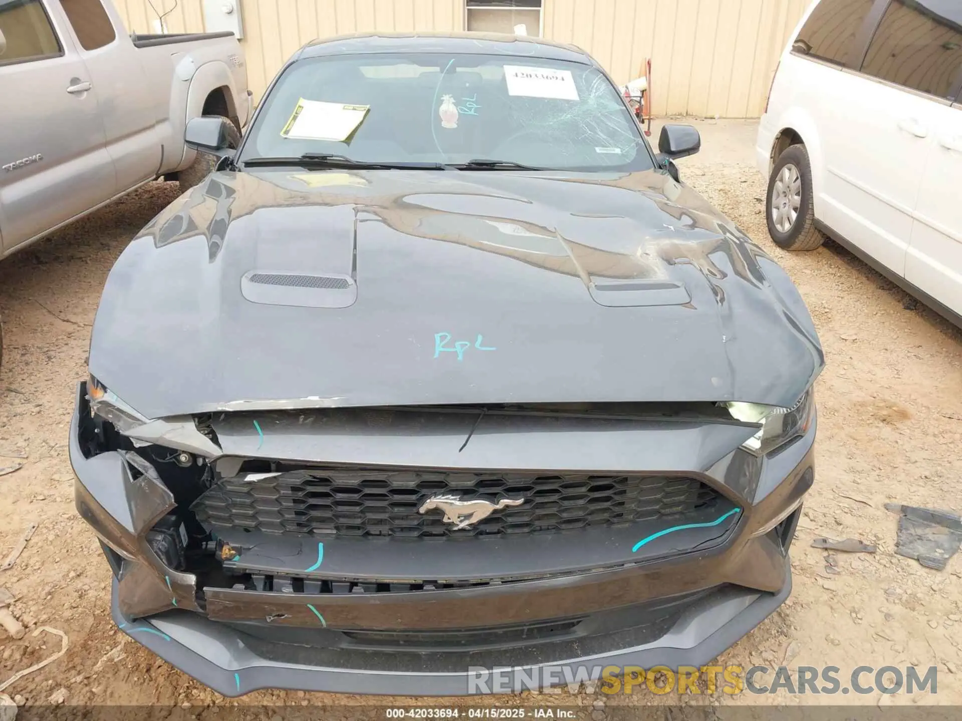 12 Photograph of a damaged car 1FA6P8TH7L5121580 FORD MUSTANG 2020