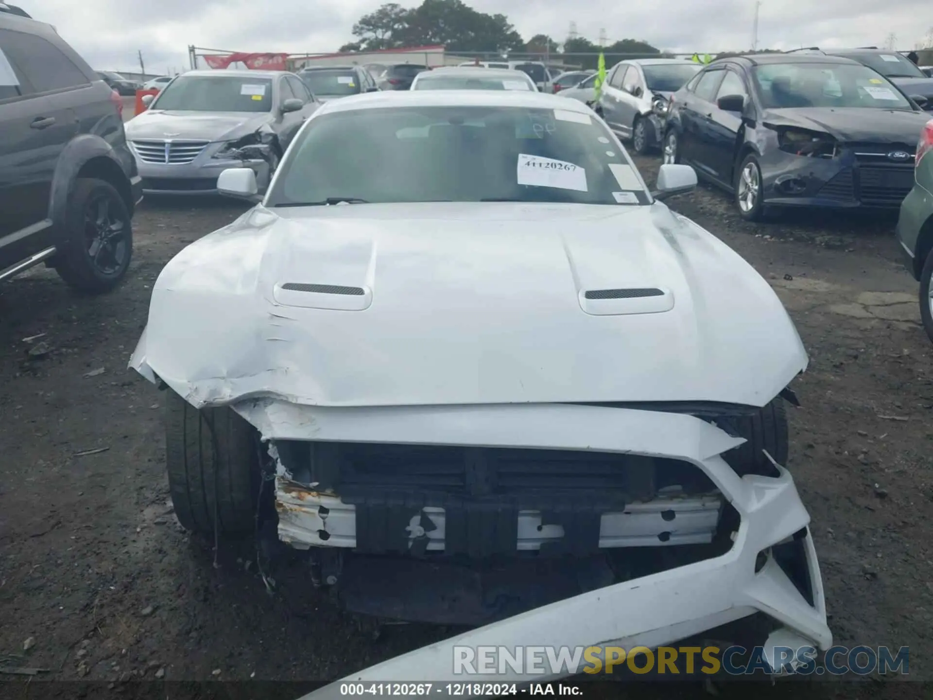 12 Photograph of a damaged car 1FA6P8TH7L5123071 FORD MUSTANG 2020