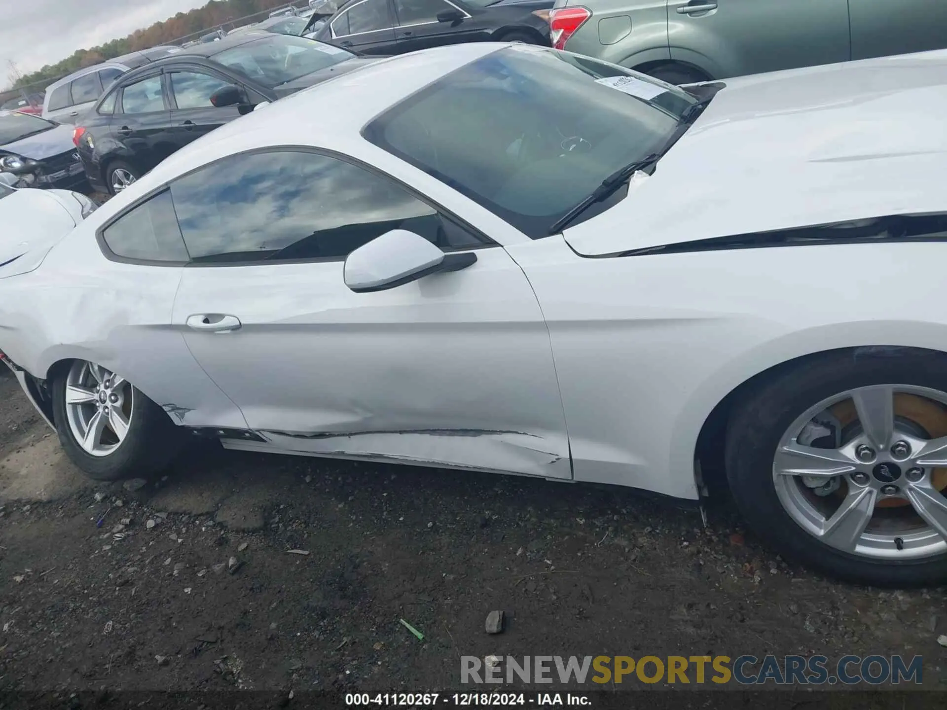 13 Photograph of a damaged car 1FA6P8TH7L5123071 FORD MUSTANG 2020