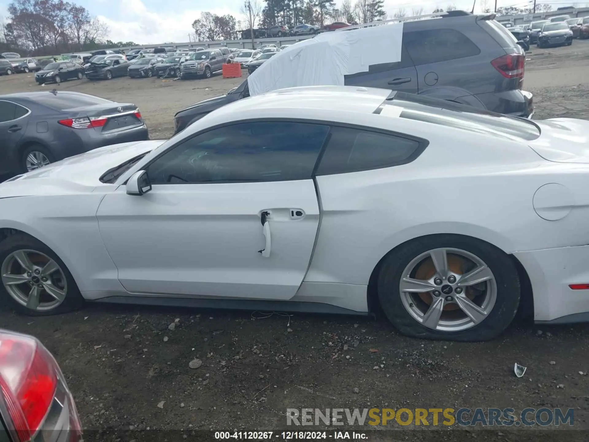 14 Photograph of a damaged car 1FA6P8TH7L5123071 FORD MUSTANG 2020