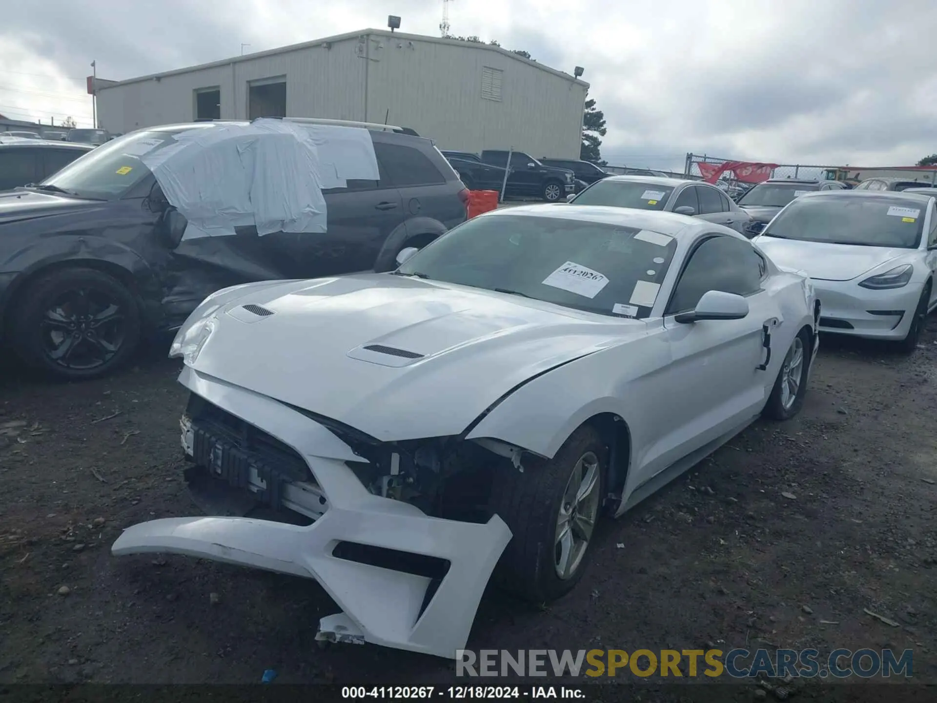 2 Photograph of a damaged car 1FA6P8TH7L5123071 FORD MUSTANG 2020