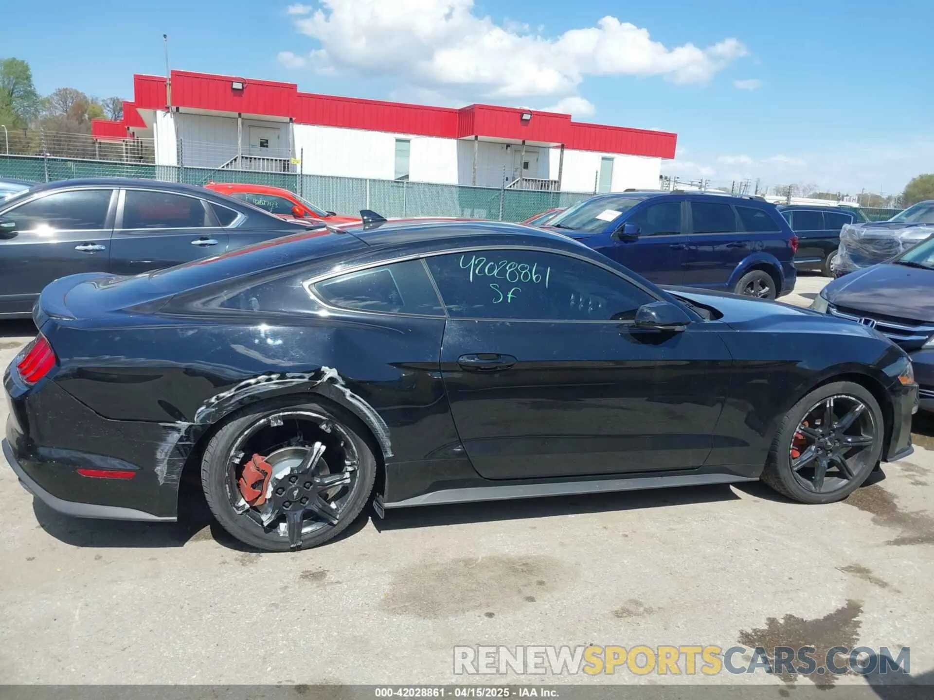 13 Photograph of a damaged car 1FA6P8TH7L5169144 FORD MUSTANG 2020