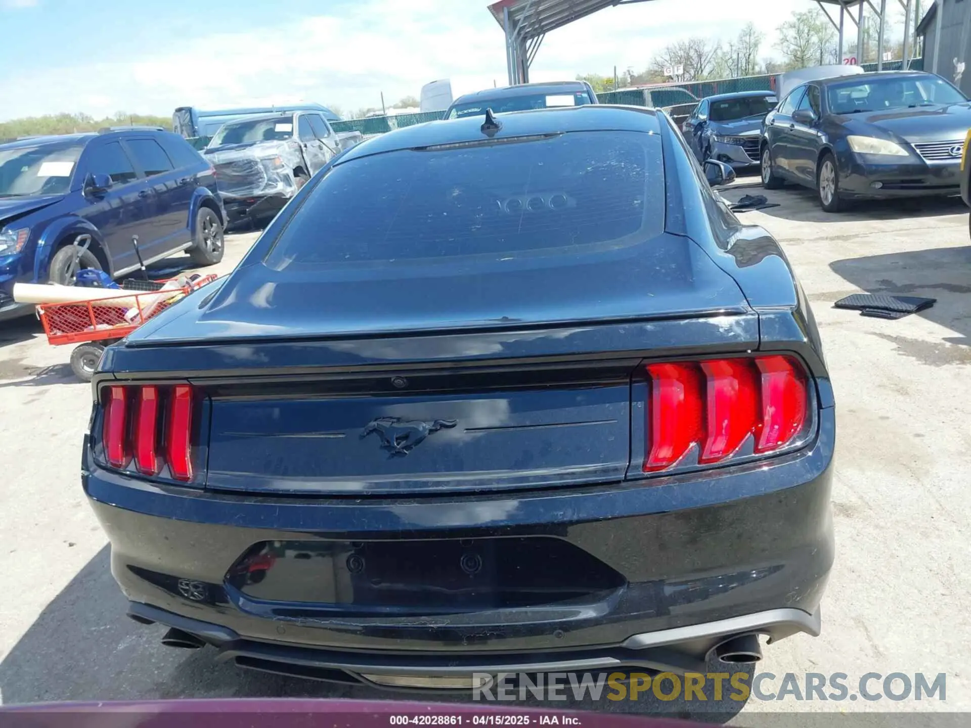 16 Photograph of a damaged car 1FA6P8TH7L5169144 FORD MUSTANG 2020