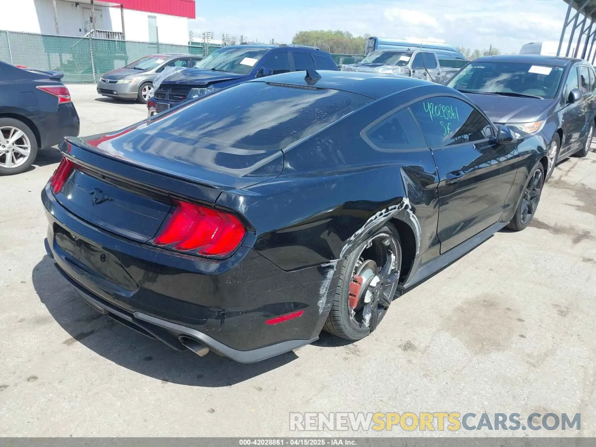 4 Photograph of a damaged car 1FA6P8TH7L5169144 FORD MUSTANG 2020