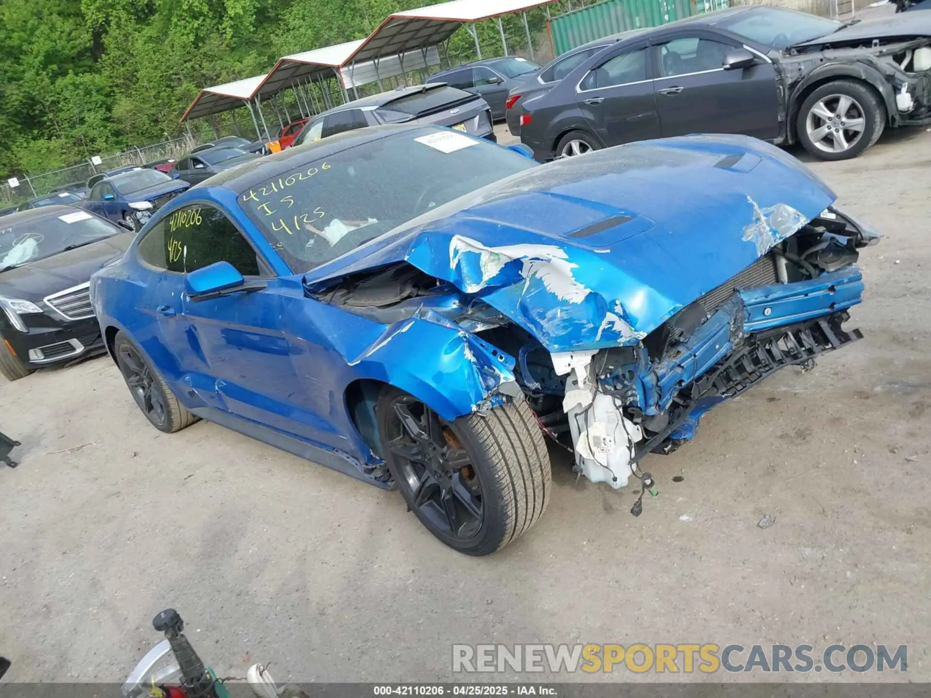 1 Photograph of a damaged car 1FA6P8TH8L5113987 FORD MUSTANG 2020