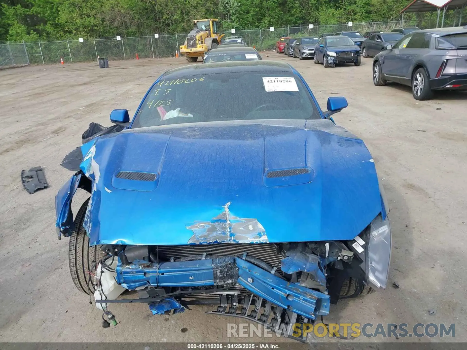 12 Photograph of a damaged car 1FA6P8TH8L5113987 FORD MUSTANG 2020