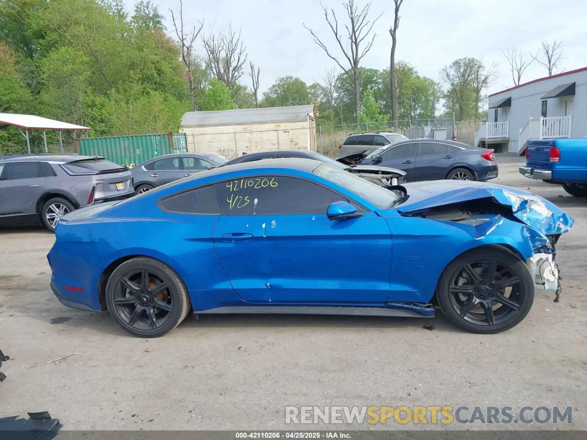 13 Photograph of a damaged car 1FA6P8TH8L5113987 FORD MUSTANG 2020