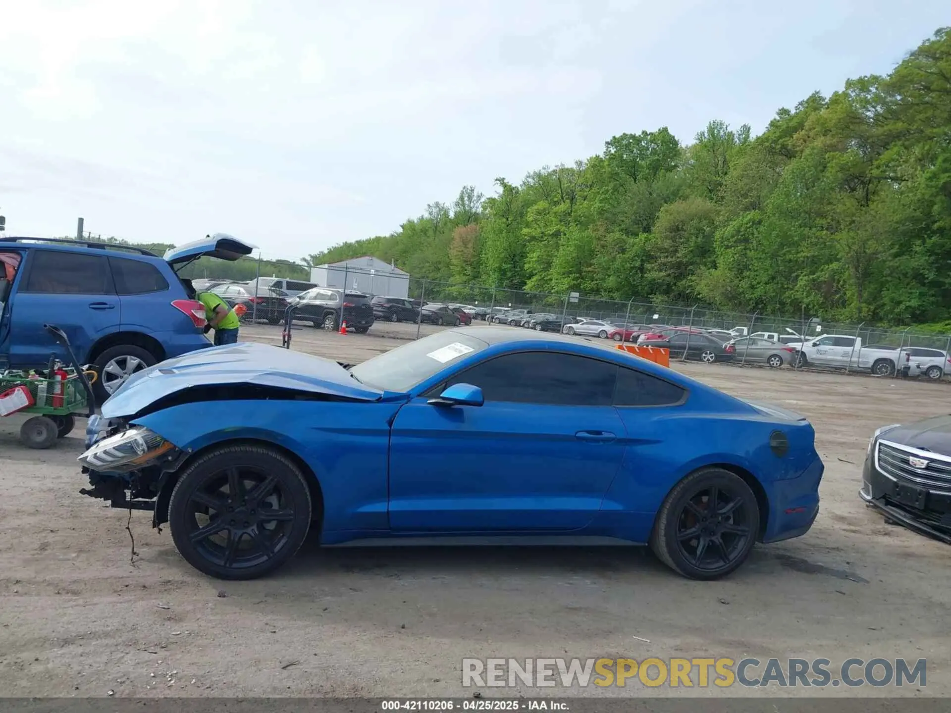 14 Photograph of a damaged car 1FA6P8TH8L5113987 FORD MUSTANG 2020