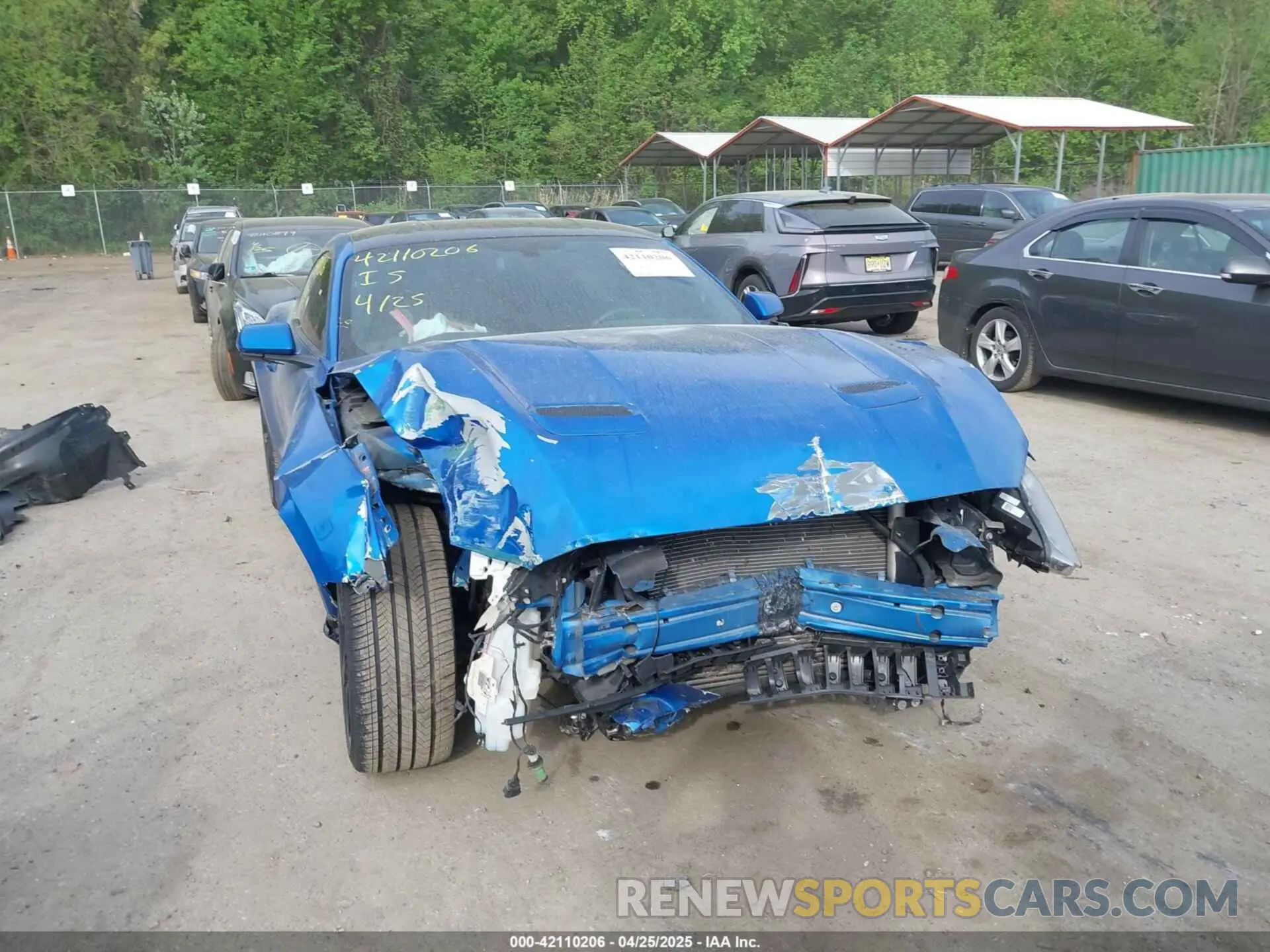 6 Photograph of a damaged car 1FA6P8TH8L5113987 FORD MUSTANG 2020