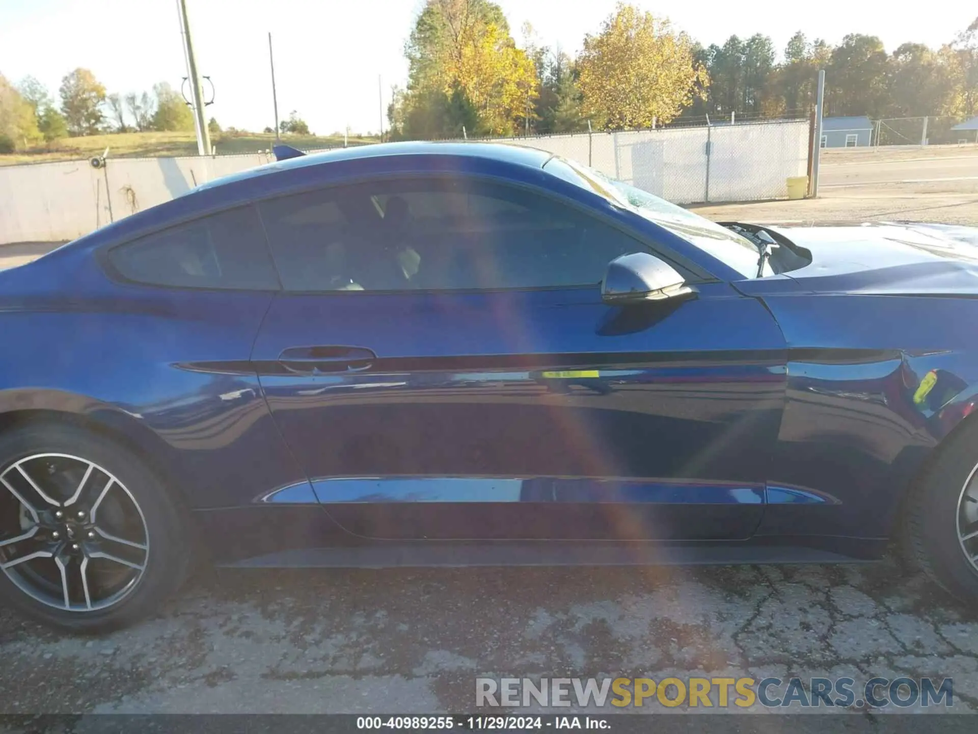 13 Photograph of a damaged car 1FA6P8TH8L5160002 FORD MUSTANG 2020