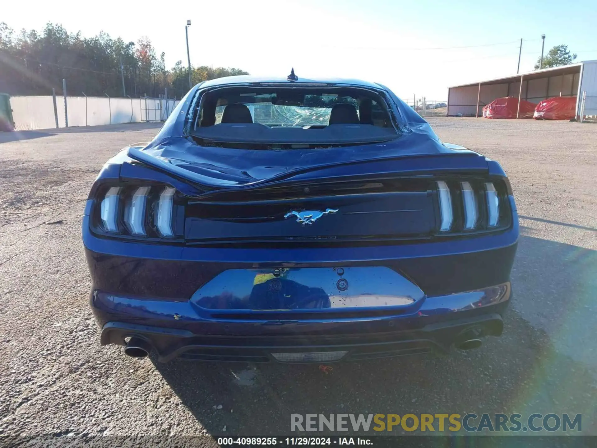 16 Photograph of a damaged car 1FA6P8TH8L5160002 FORD MUSTANG 2020