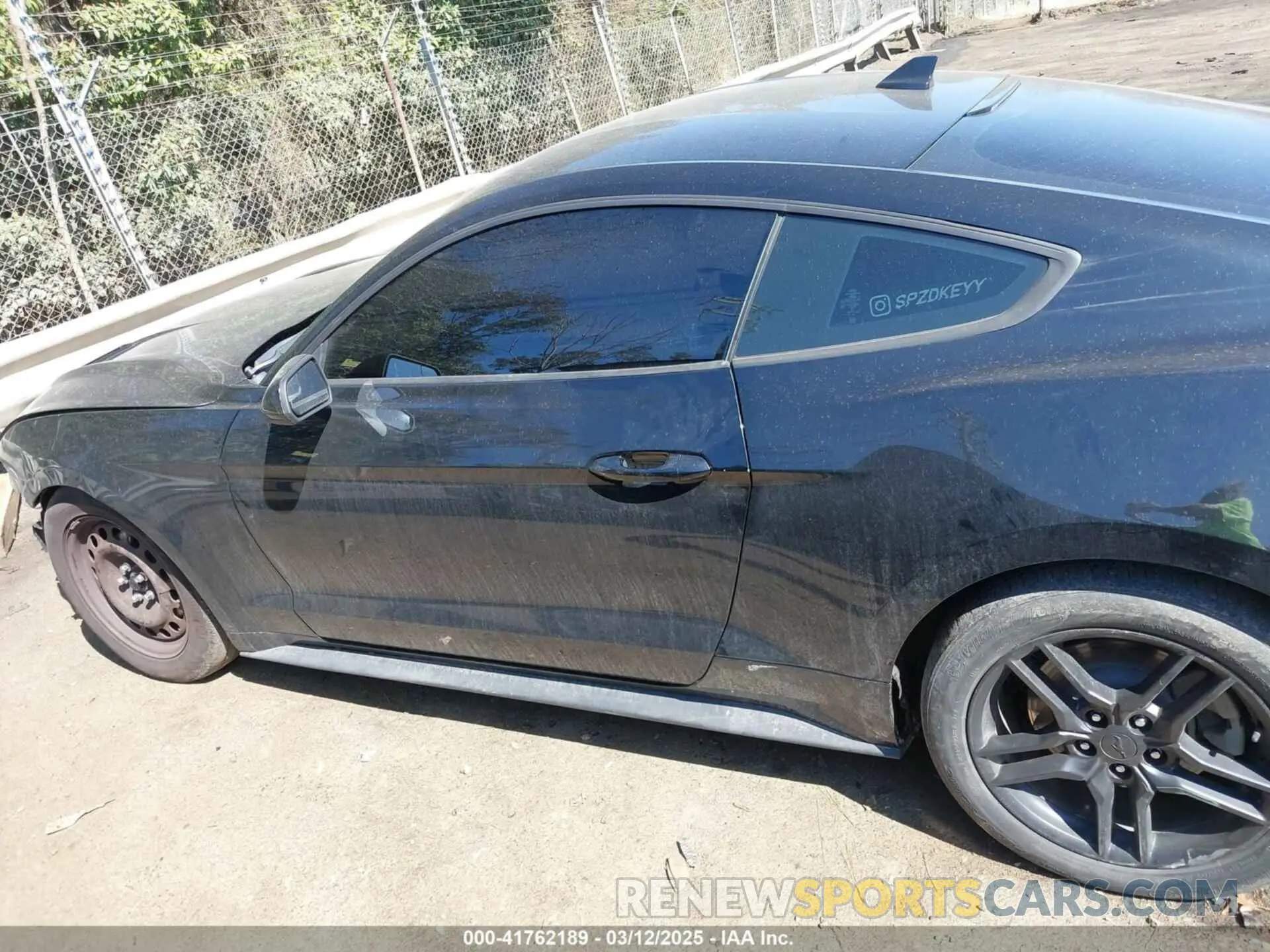 14 Photograph of a damaged car 1FA6P8TH8L5161523 FORD MUSTANG 2020