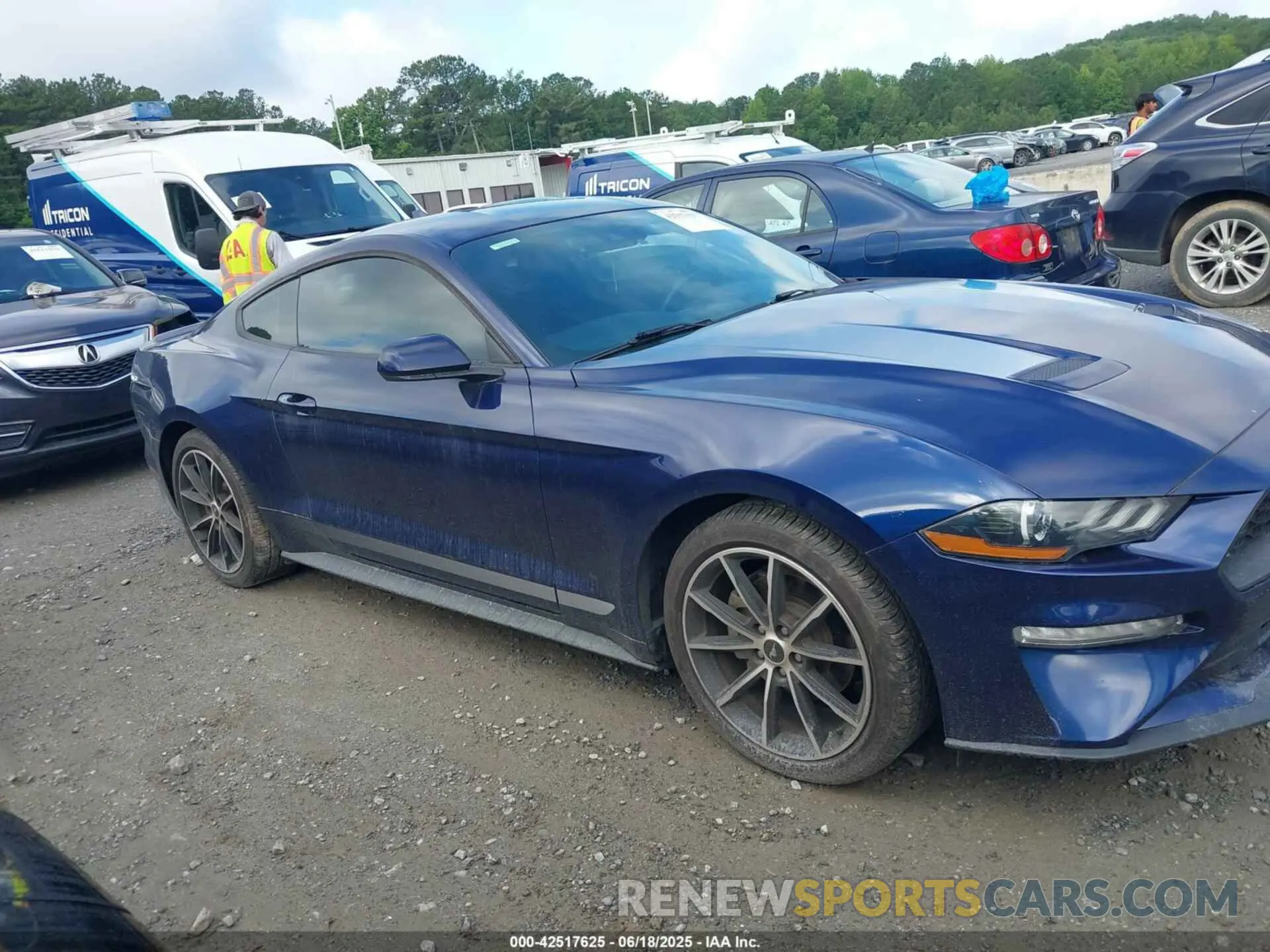 12 Photograph of a damaged car 1FA6P8TH8L5175177 FORD MUSTANG 2020