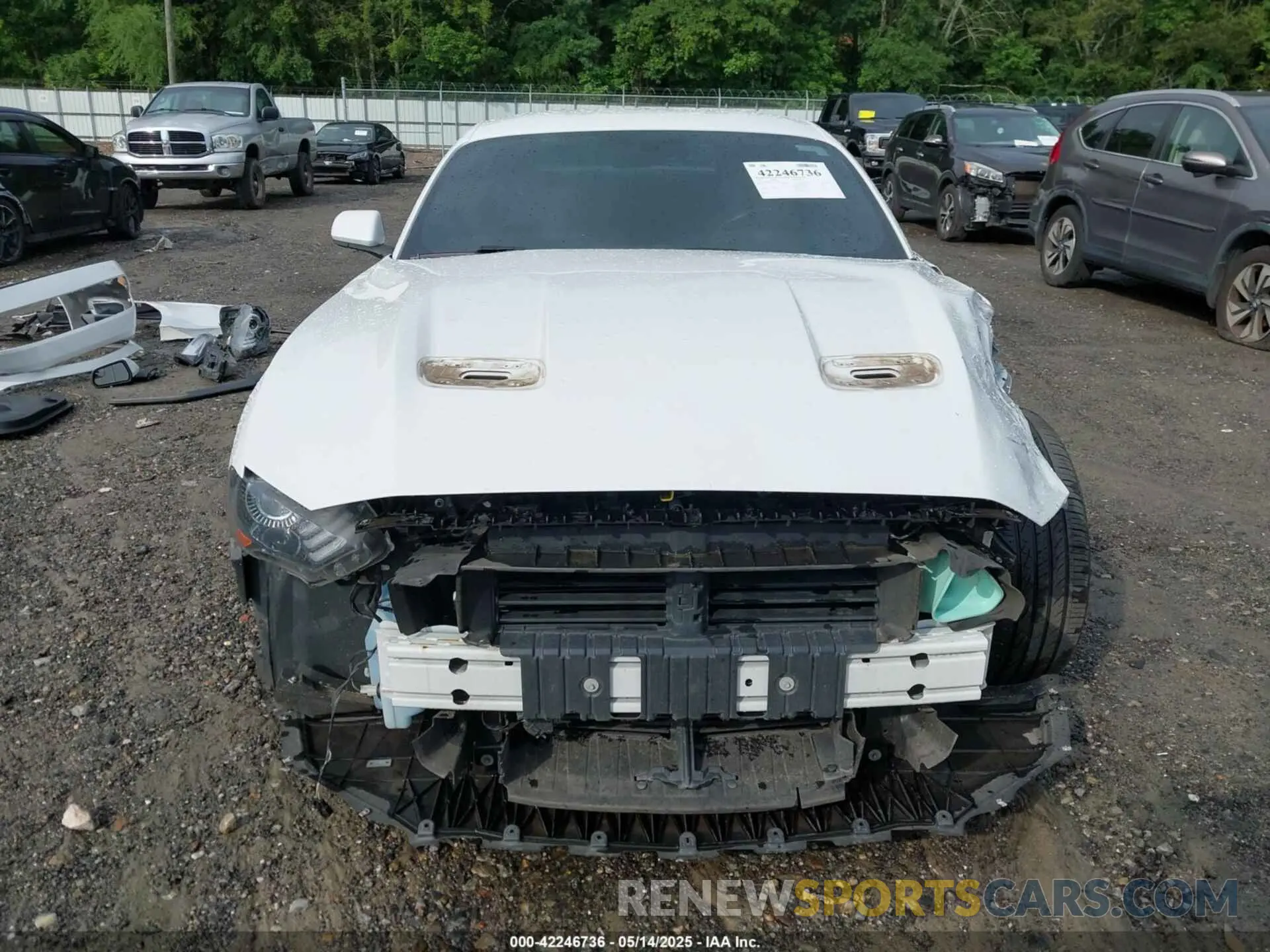 13 Photograph of a damaged car 1FA6P8TH9L5132788 FORD MUSTANG 2020