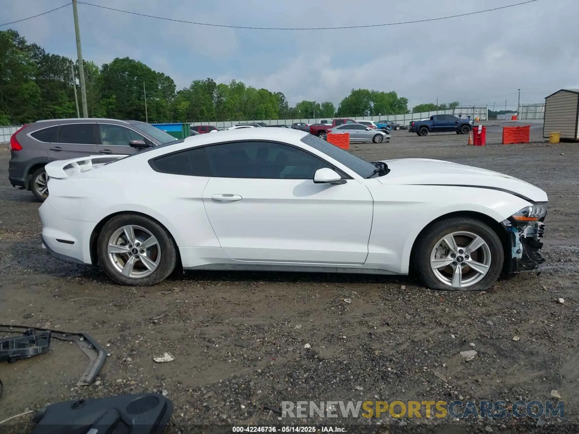 14 Photograph of a damaged car 1FA6P8TH9L5132788 FORD MUSTANG 2020