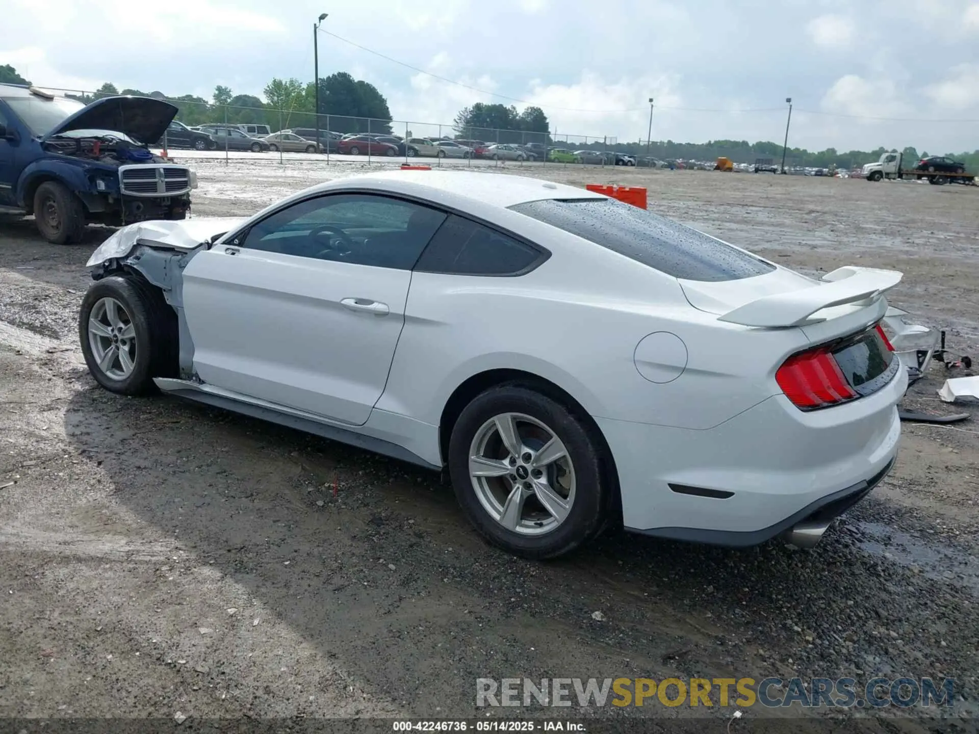 3 Photograph of a damaged car 1FA6P8TH9L5132788 FORD MUSTANG 2020
