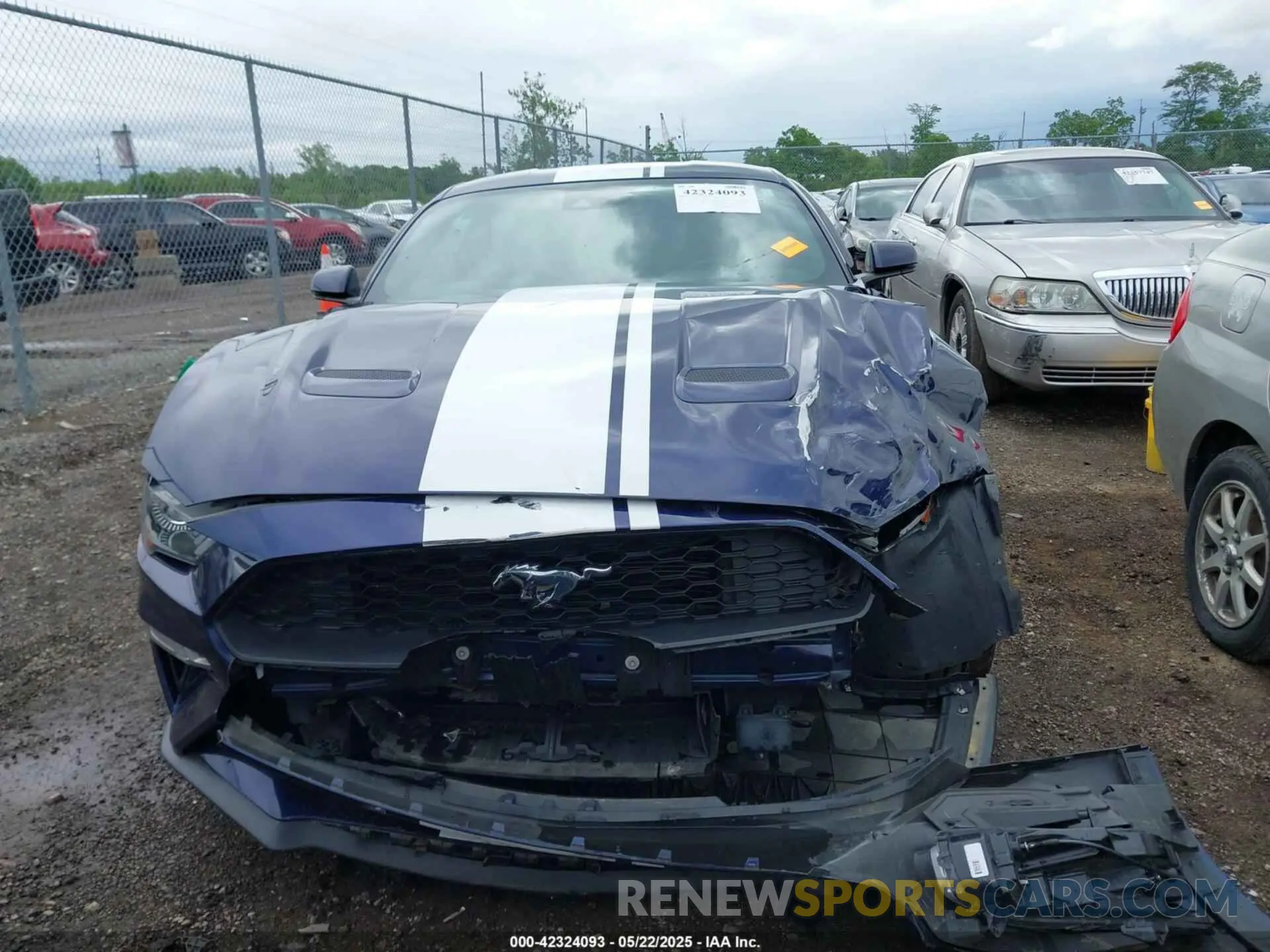 12 Photograph of a damaged car 1FA6P8TH9L5142723 FORD MUSTANG 2020