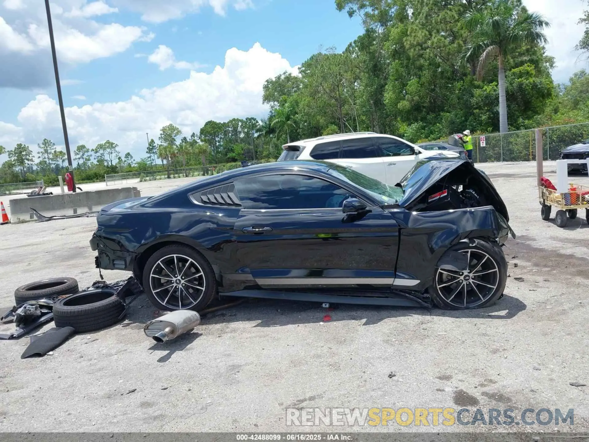 14 Photograph of a damaged car 1FA6P8TH9L5172336 FORD MUSTANG 2020