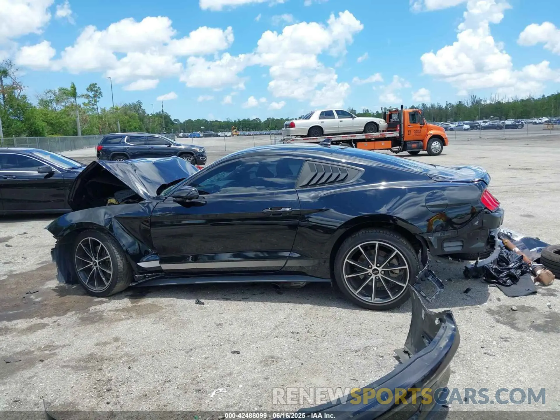 15 Photograph of a damaged car 1FA6P8TH9L5172336 FORD MUSTANG 2020