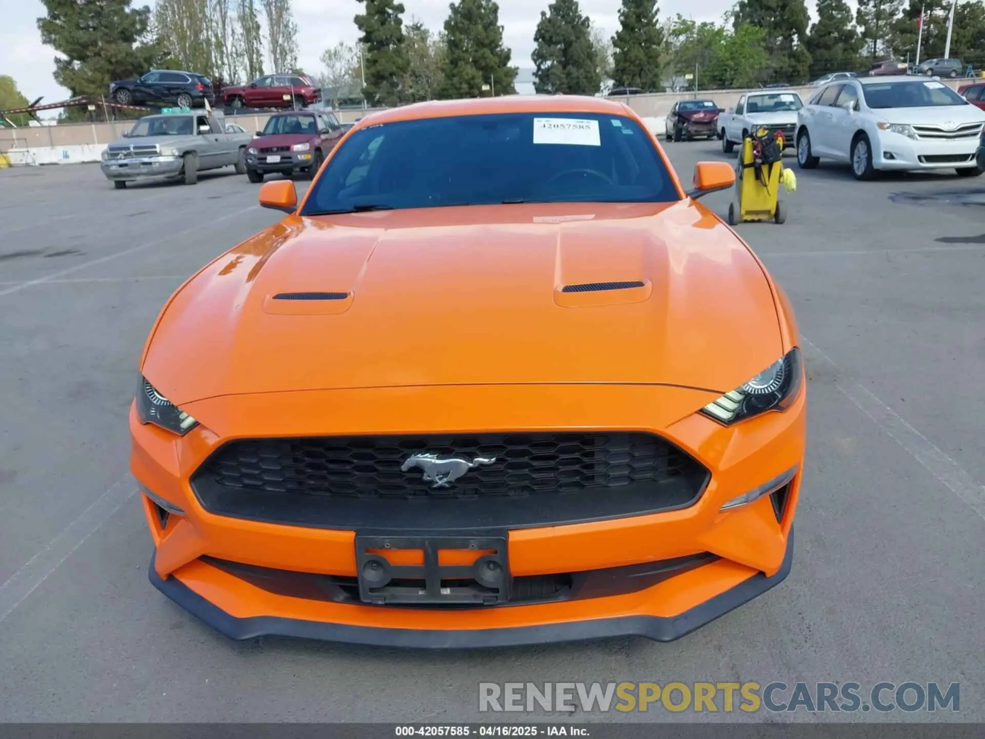 12 Photograph of a damaged car 1FA6P8TH9L5177150 FORD MUSTANG 2020