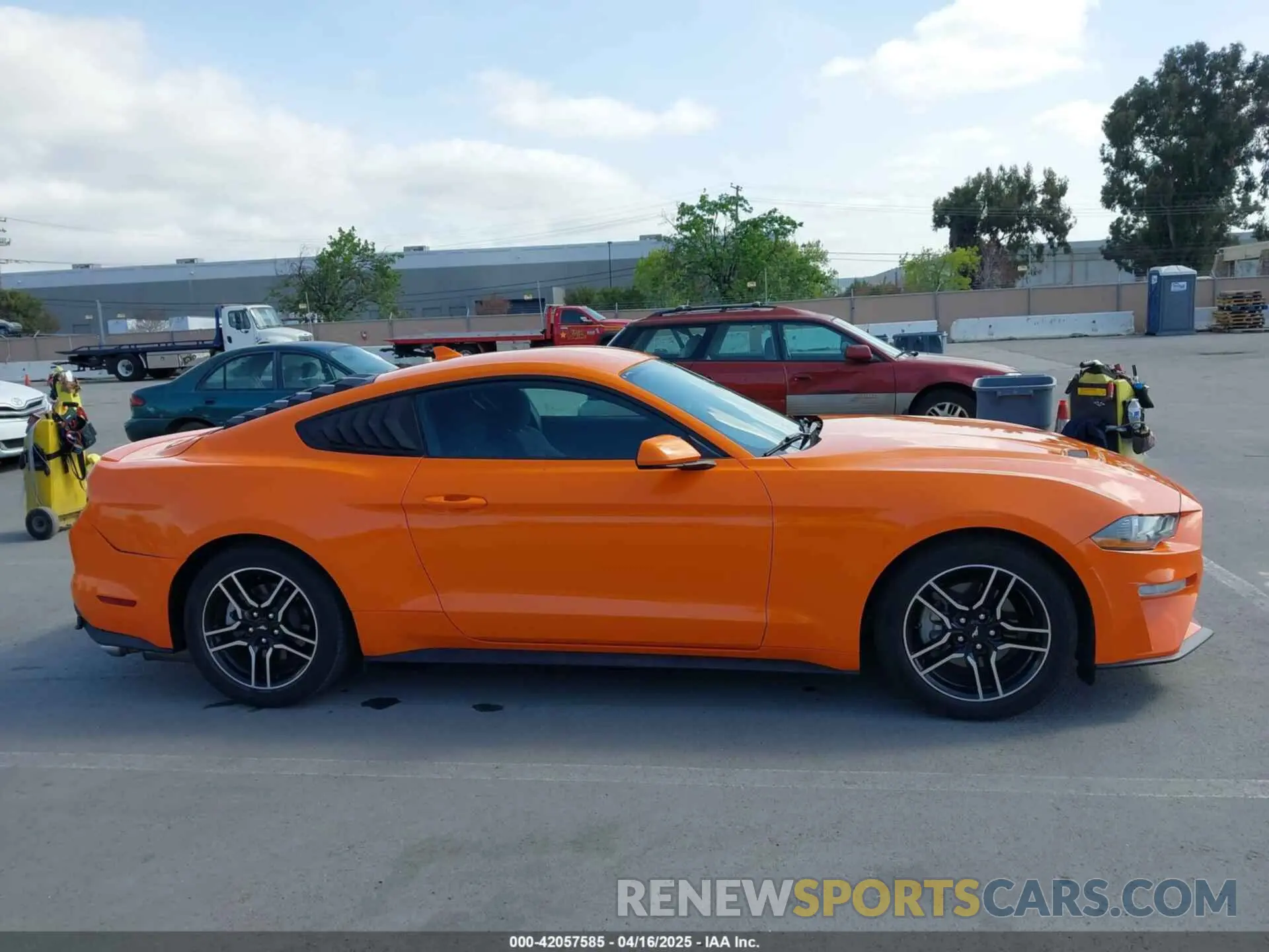 13 Photograph of a damaged car 1FA6P8TH9L5177150 FORD MUSTANG 2020