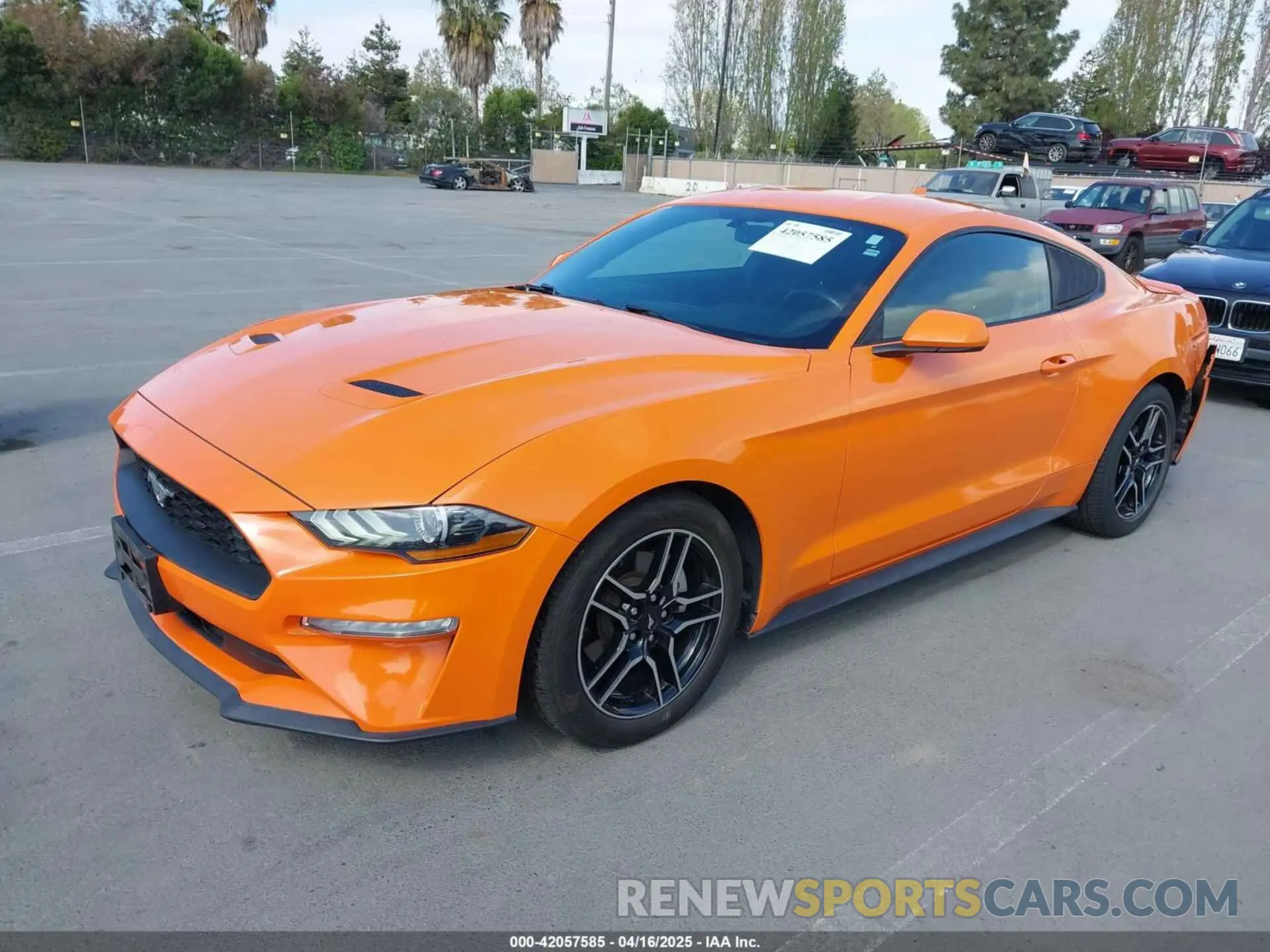 2 Photograph of a damaged car 1FA6P8TH9L5177150 FORD MUSTANG 2020