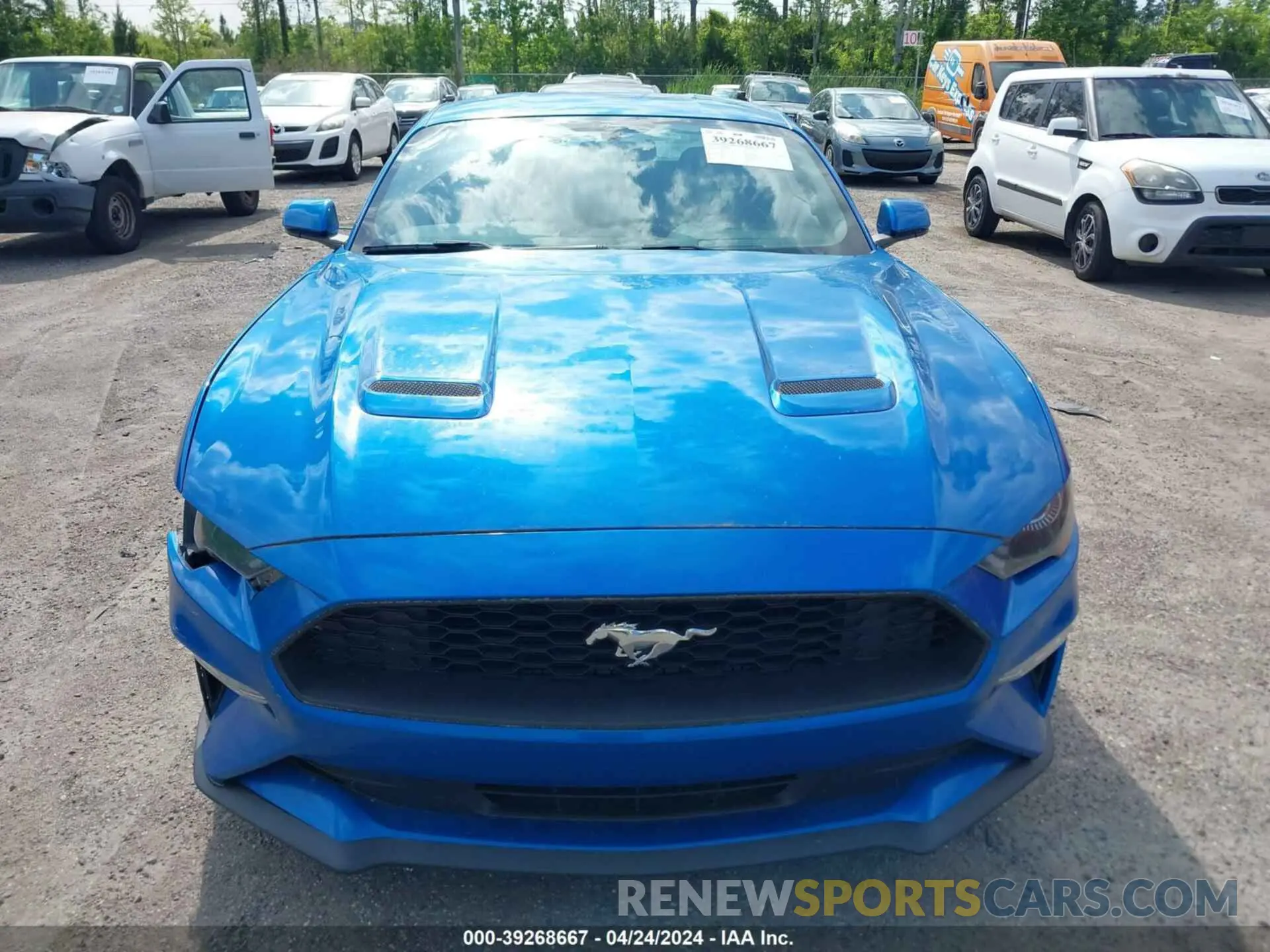 12 Photograph of a damaged car 1FA6P8THXL5129382 FORD MUSTANG 2020