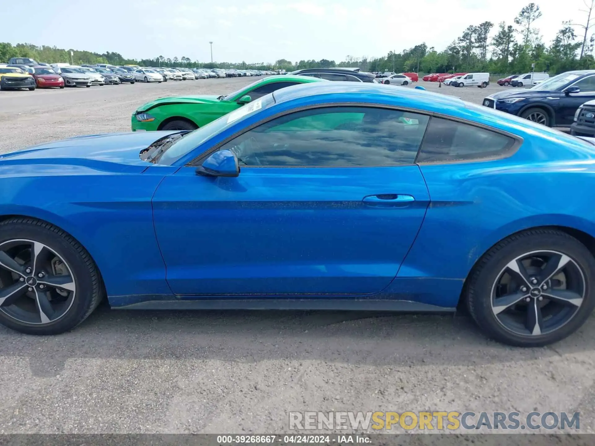 14 Photograph of a damaged car 1FA6P8THXL5129382 FORD MUSTANG 2020