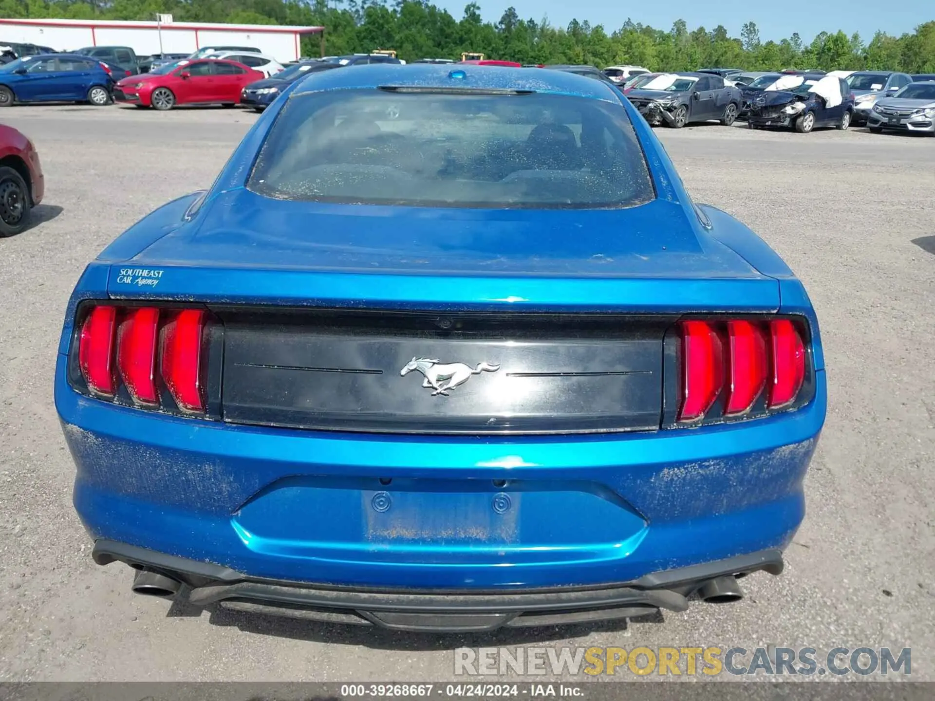 16 Photograph of a damaged car 1FA6P8THXL5129382 FORD MUSTANG 2020
