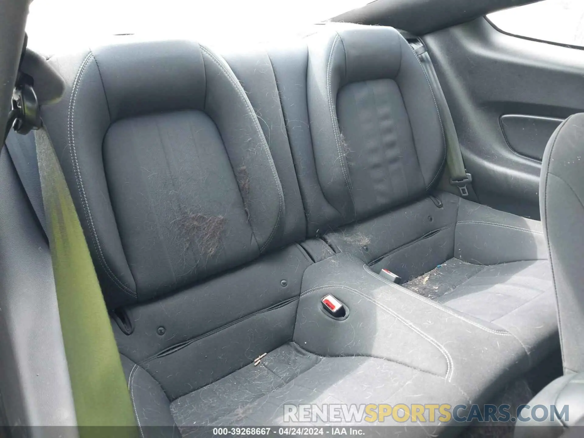 8 Photograph of a damaged car 1FA6P8THXL5129382 FORD MUSTANG 2020