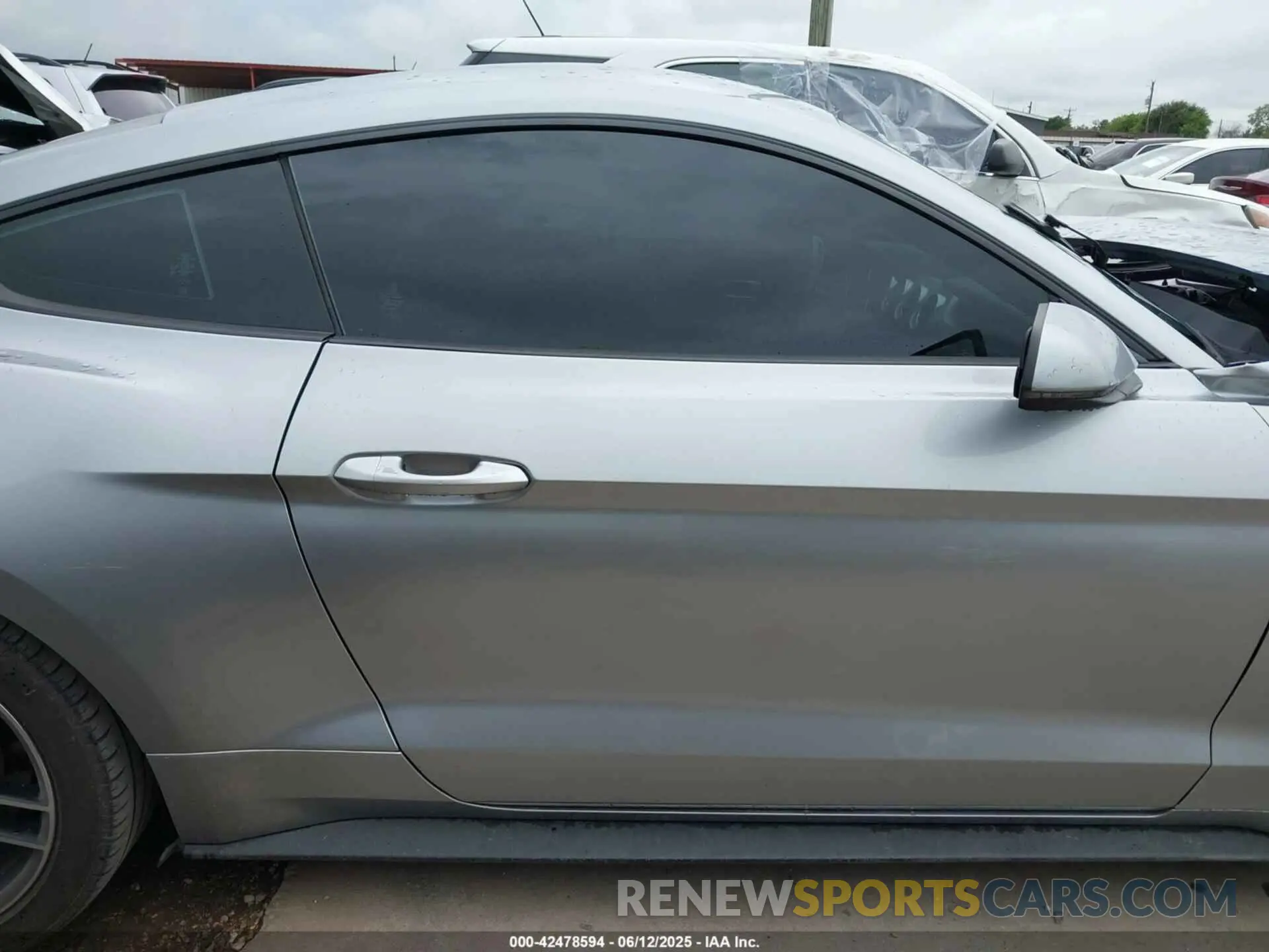 12 Photograph of a damaged car 1FA6P8THXL5136364 FORD MUSTANG 2020