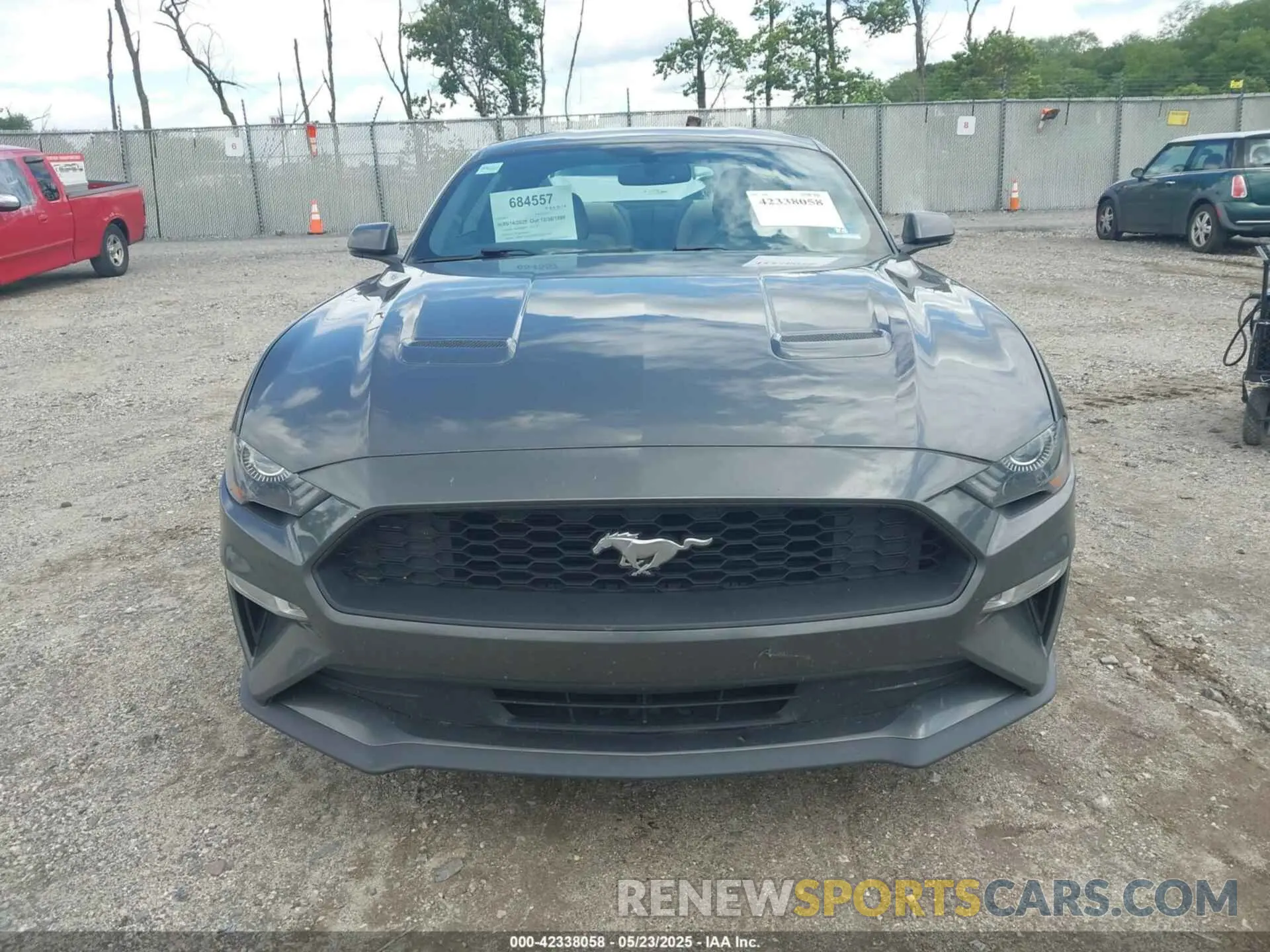 12 Photograph of a damaged car 1FA6P8THXL5142584 FORD MUSTANG 2020