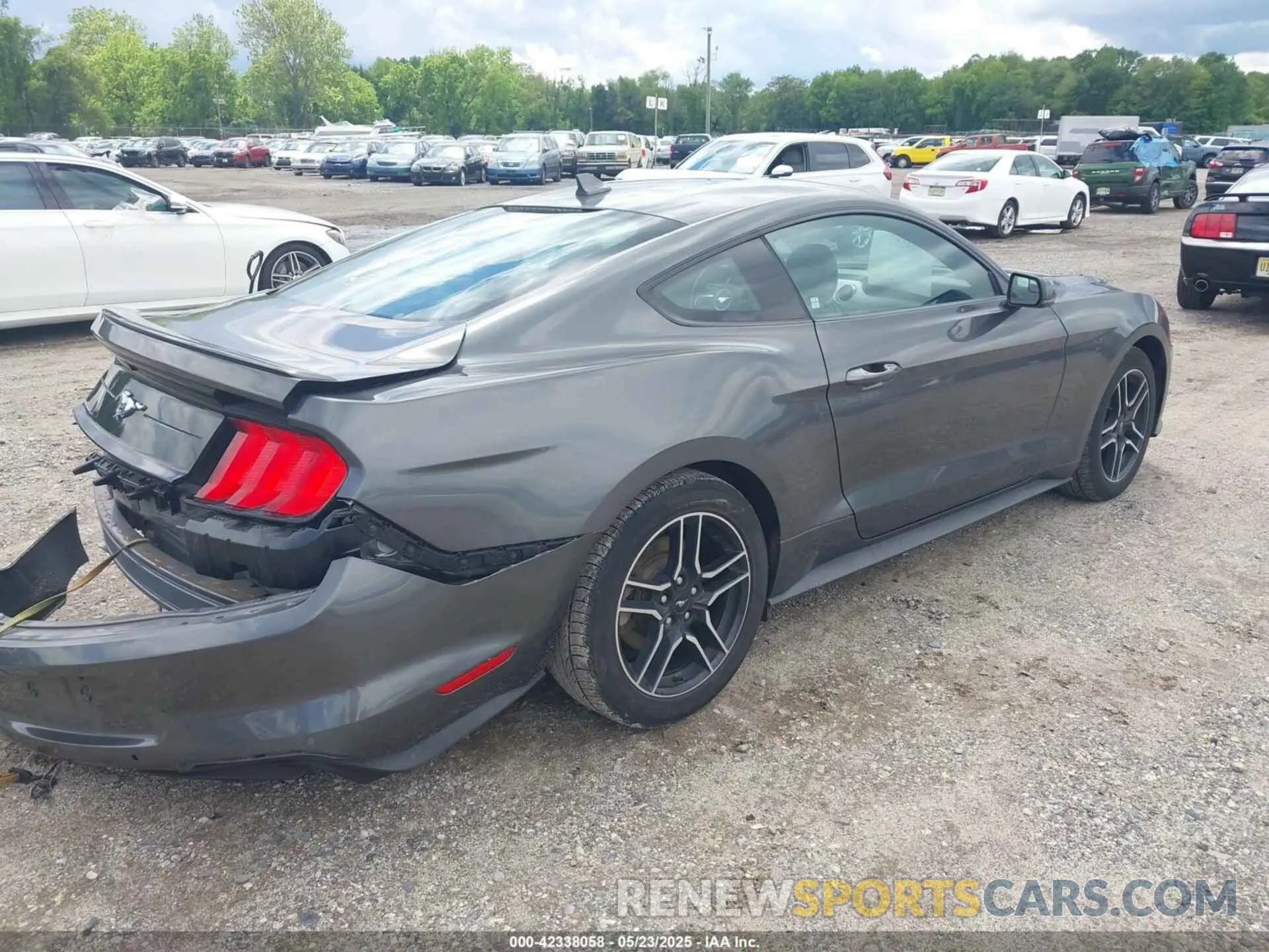 4 Photograph of a damaged car 1FA6P8THXL5142584 FORD MUSTANG 2020