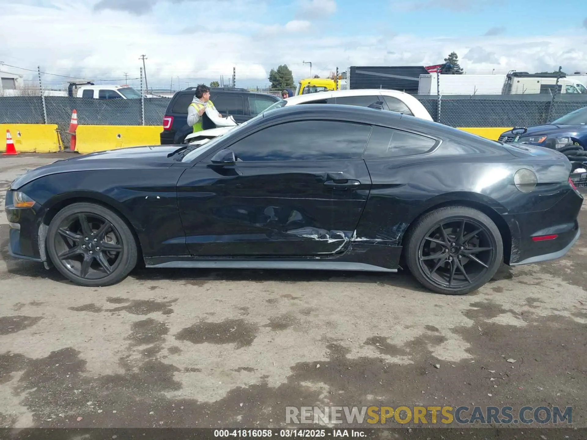 14 Photograph of a damaged car 1FA6P8THXL5177271 FORD MUSTANG 2020