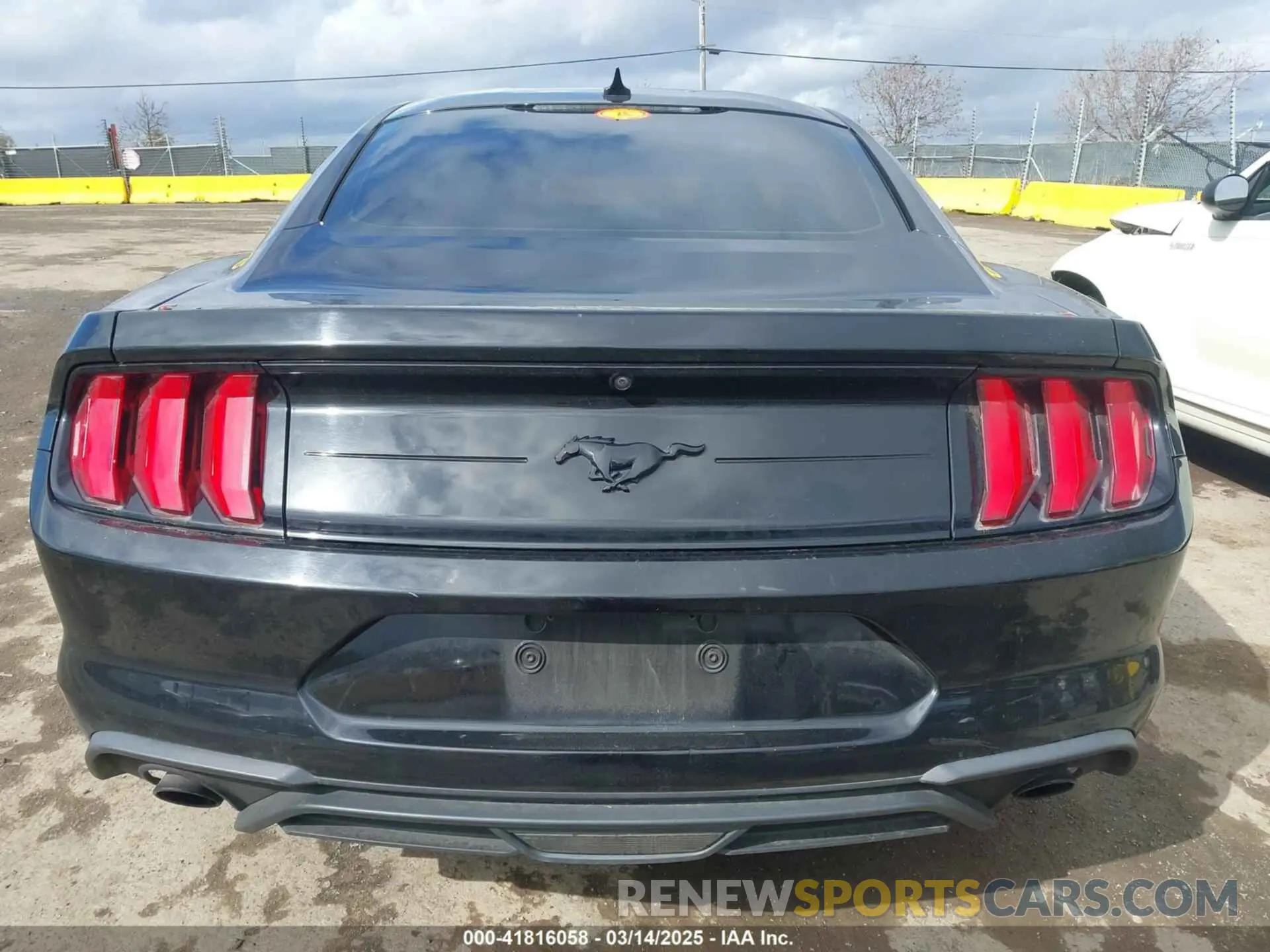 16 Photograph of a damaged car 1FA6P8THXL5177271 FORD MUSTANG 2020