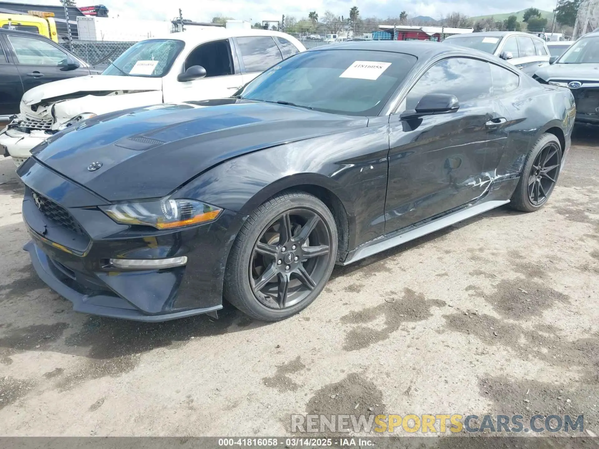 2 Photograph of a damaged car 1FA6P8THXL5177271 FORD MUSTANG 2020