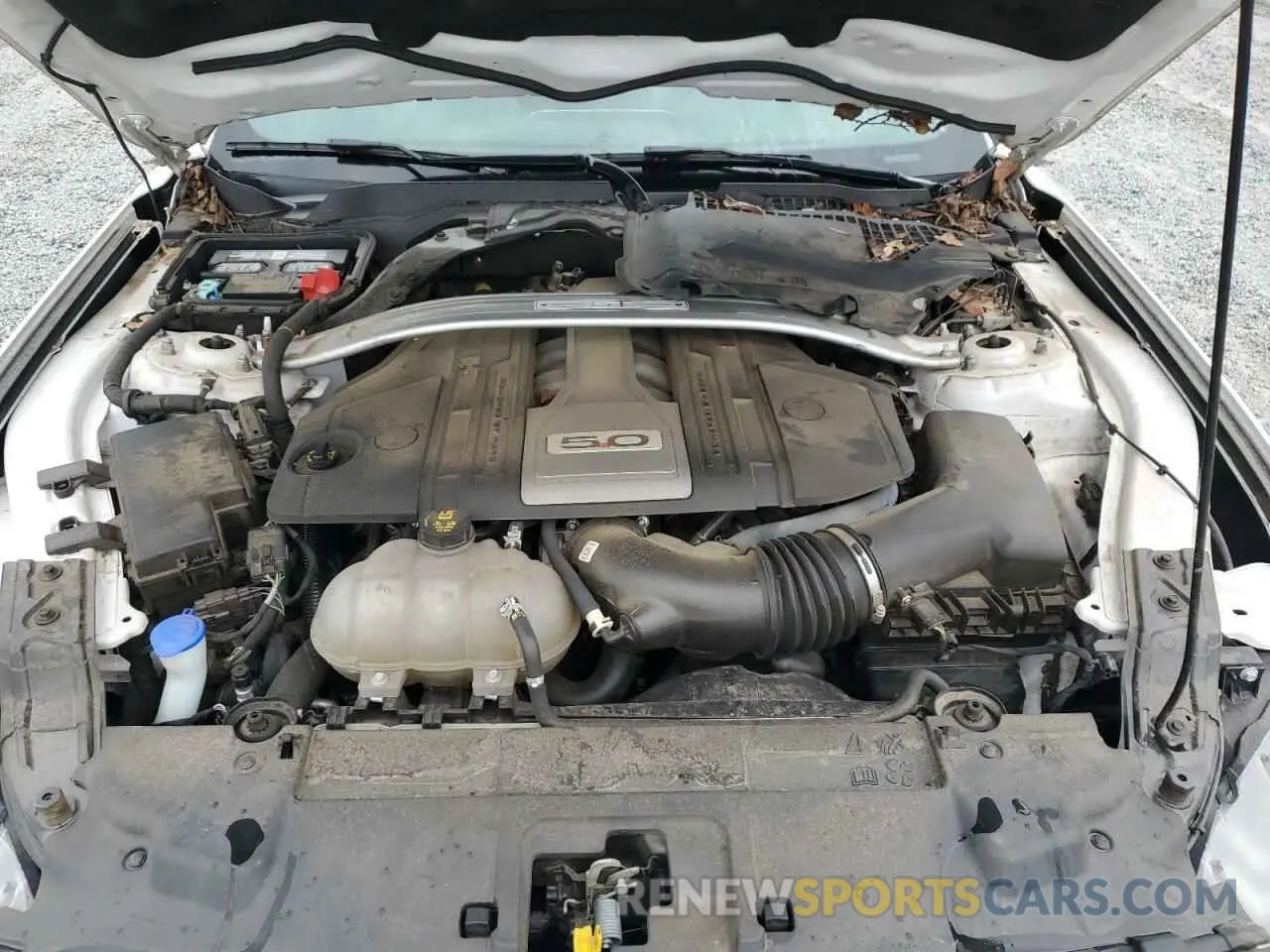 11 Photograph of a damaged car 1FATP8FF0L5139559 FORD MUSTANG 2020