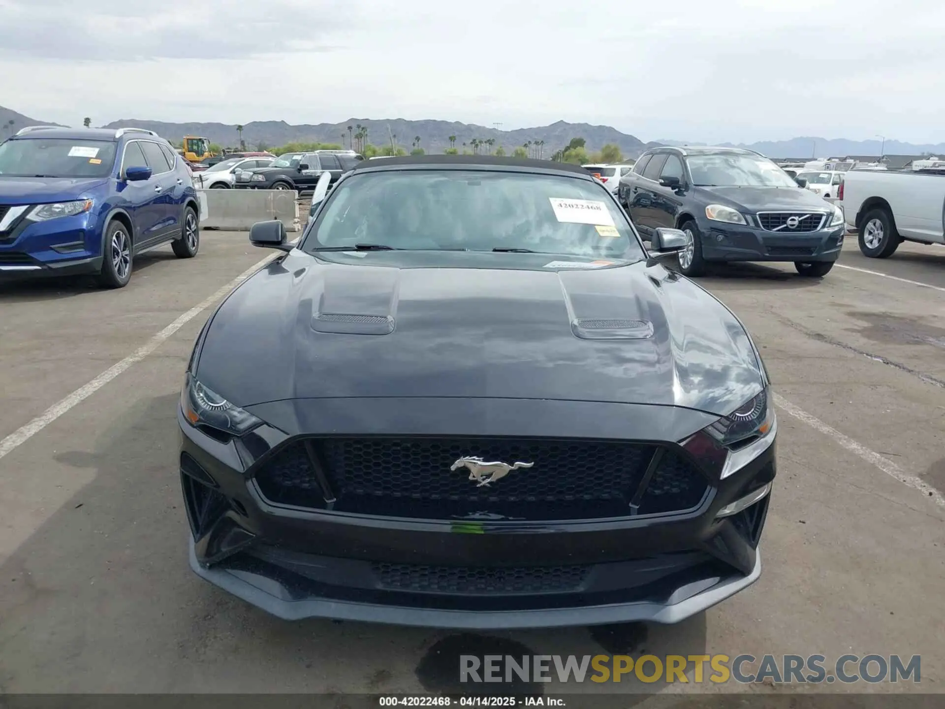 11 Photograph of a damaged car 1FATP8FF5L5119453 FORD MUSTANG 2020