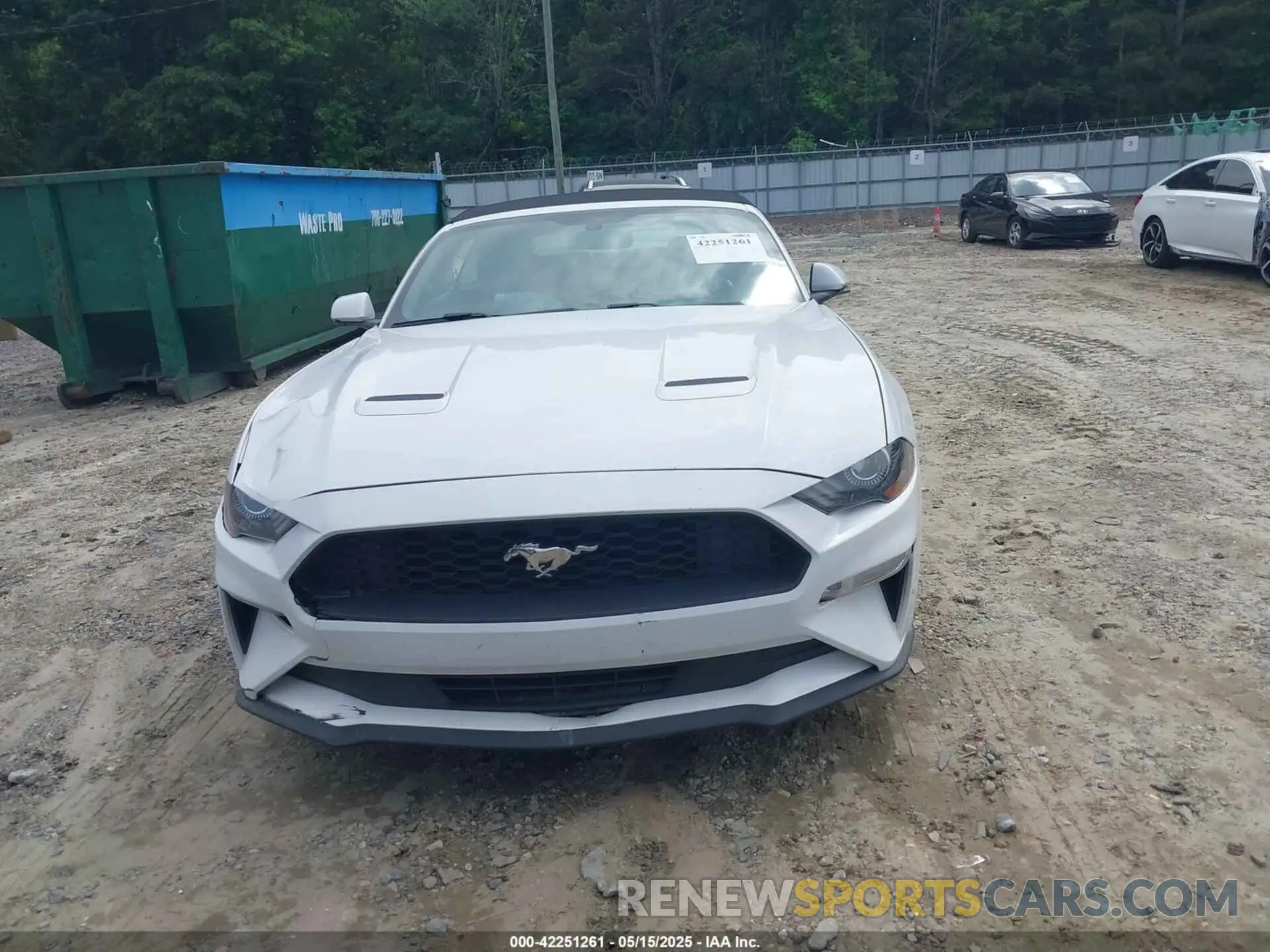 13 Photograph of a damaged car 1FATP8UH2L5119009 FORD MUSTANG 2020