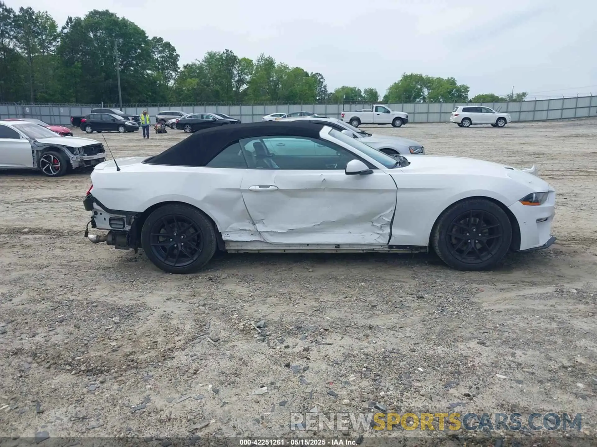 14 Photograph of a damaged car 1FATP8UH2L5119009 FORD MUSTANG 2020