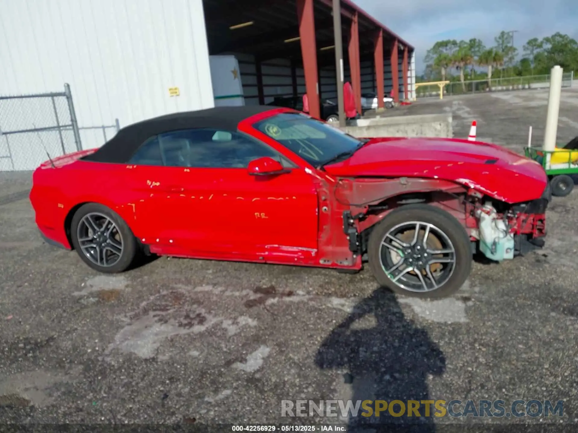 19 Photograph of a damaged car 1FATP8UH2L5119804 FORD MUSTANG 2020