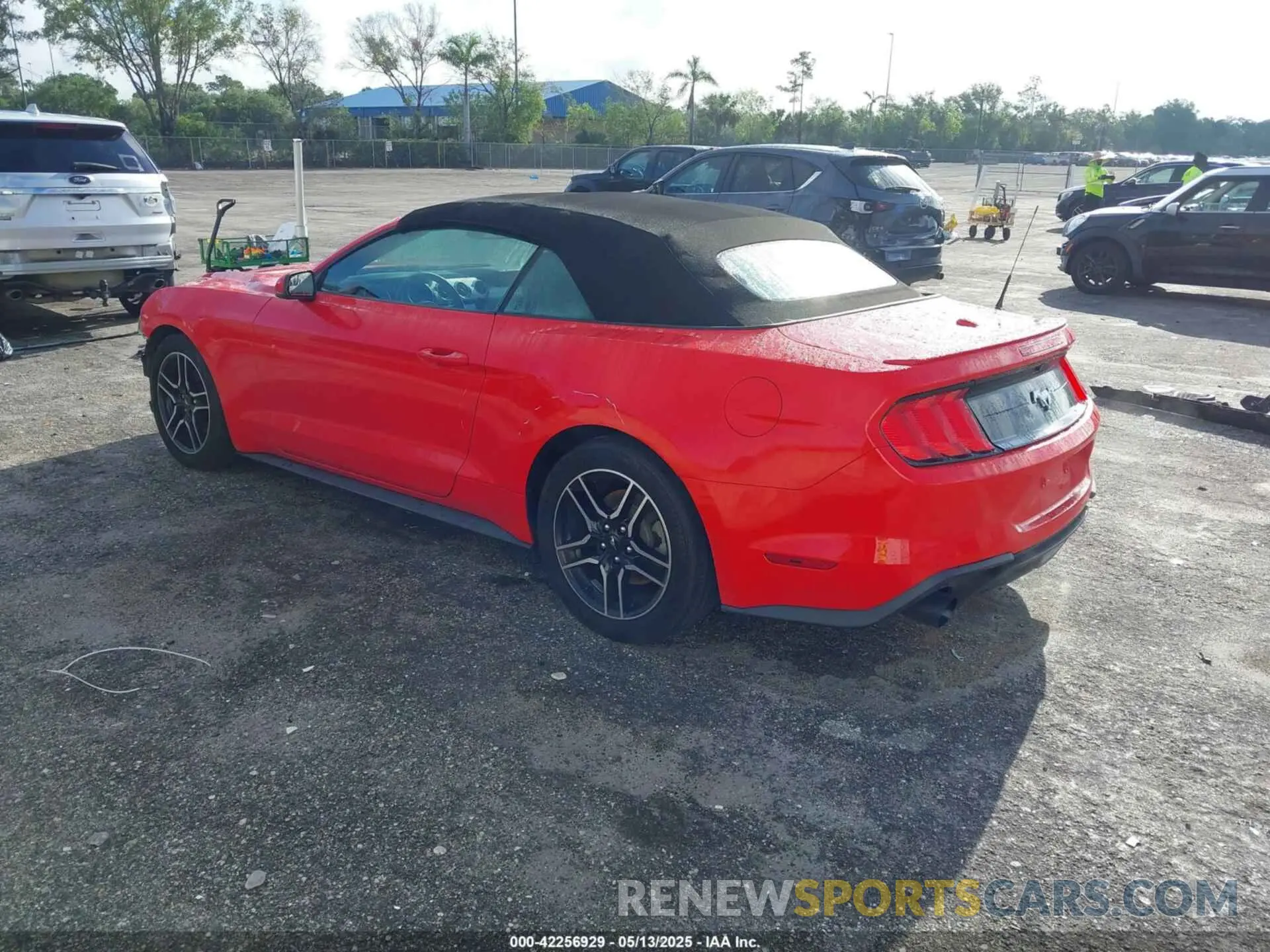 3 Photograph of a damaged car 1FATP8UH2L5119804 FORD MUSTANG 2020
