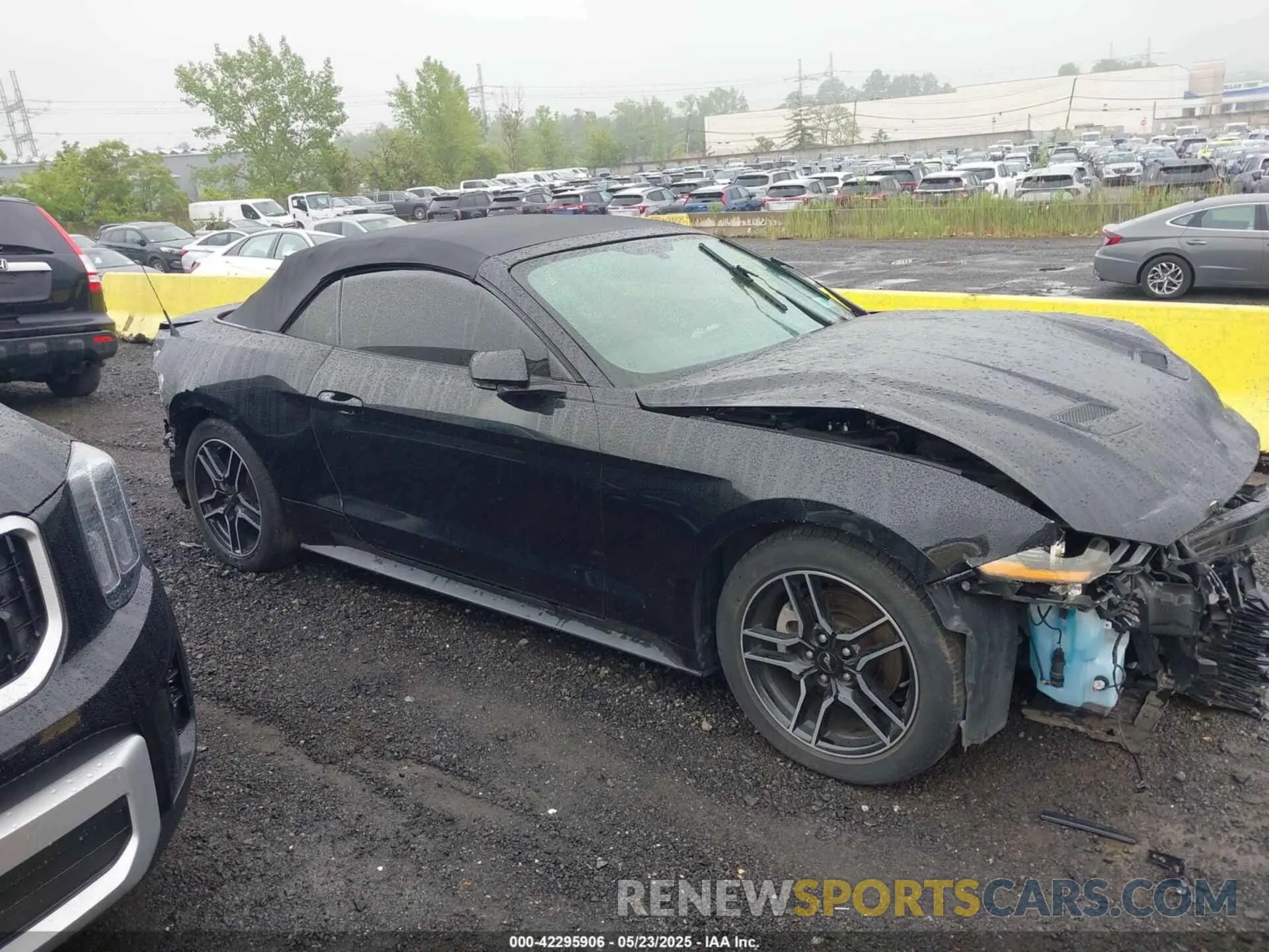 12 Photograph of a damaged car 1FATP8UH7L5131625 FORD MUSTANG 2020