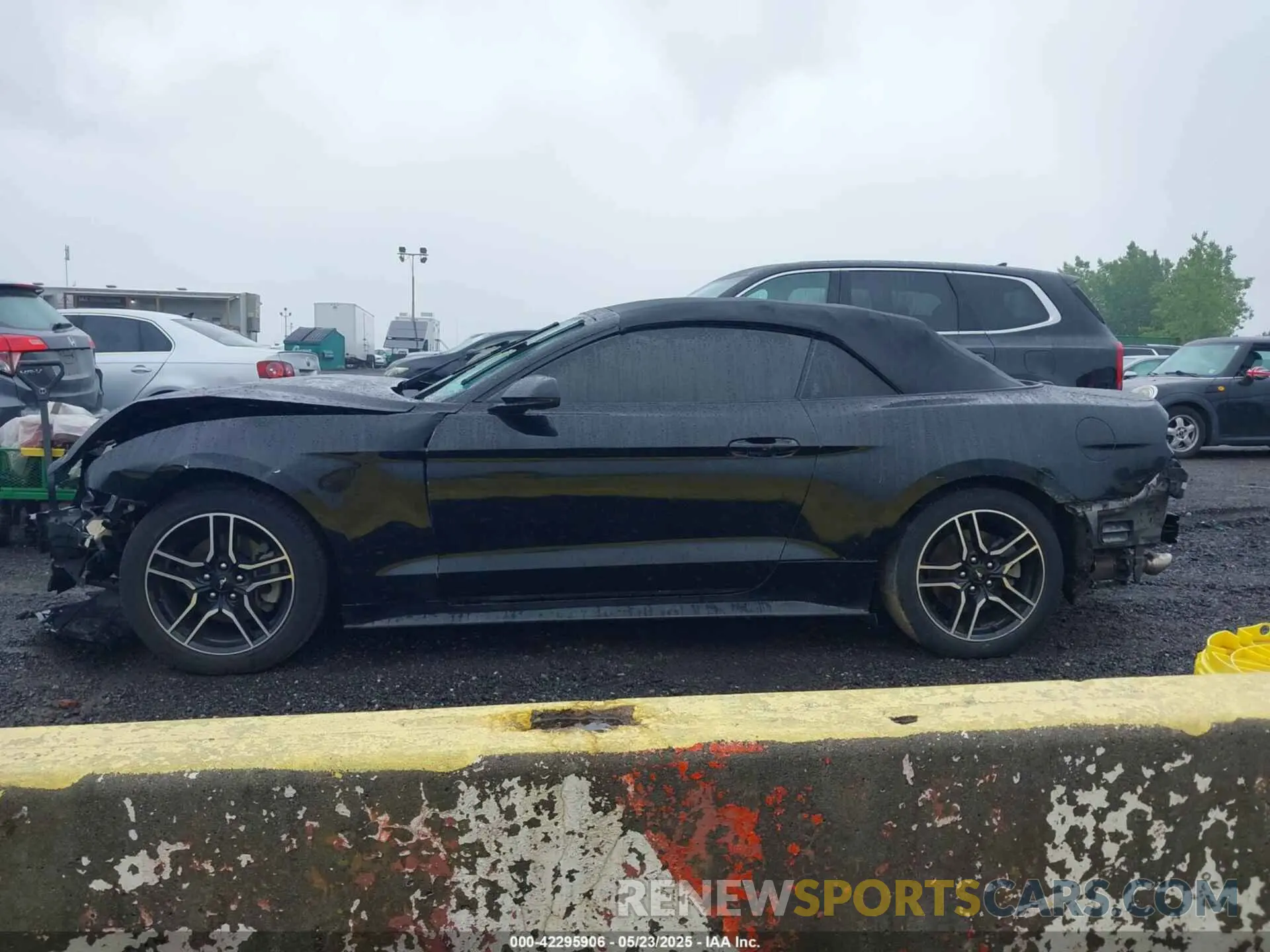 13 Photograph of a damaged car 1FATP8UH7L5131625 FORD MUSTANG 2020